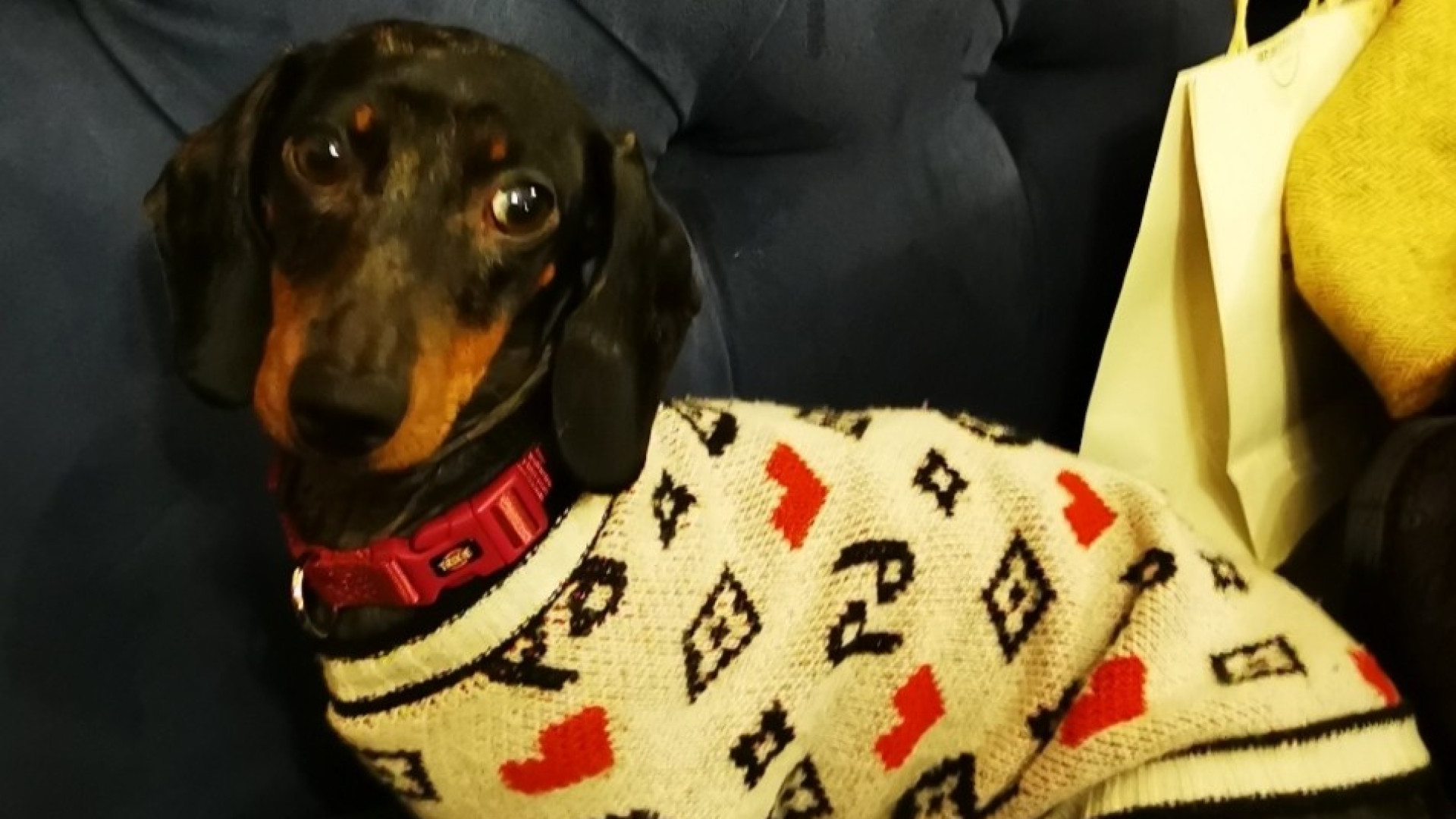 "La Posta di Tosca" da record, spopola su Instagram di Libertà: 650mila views