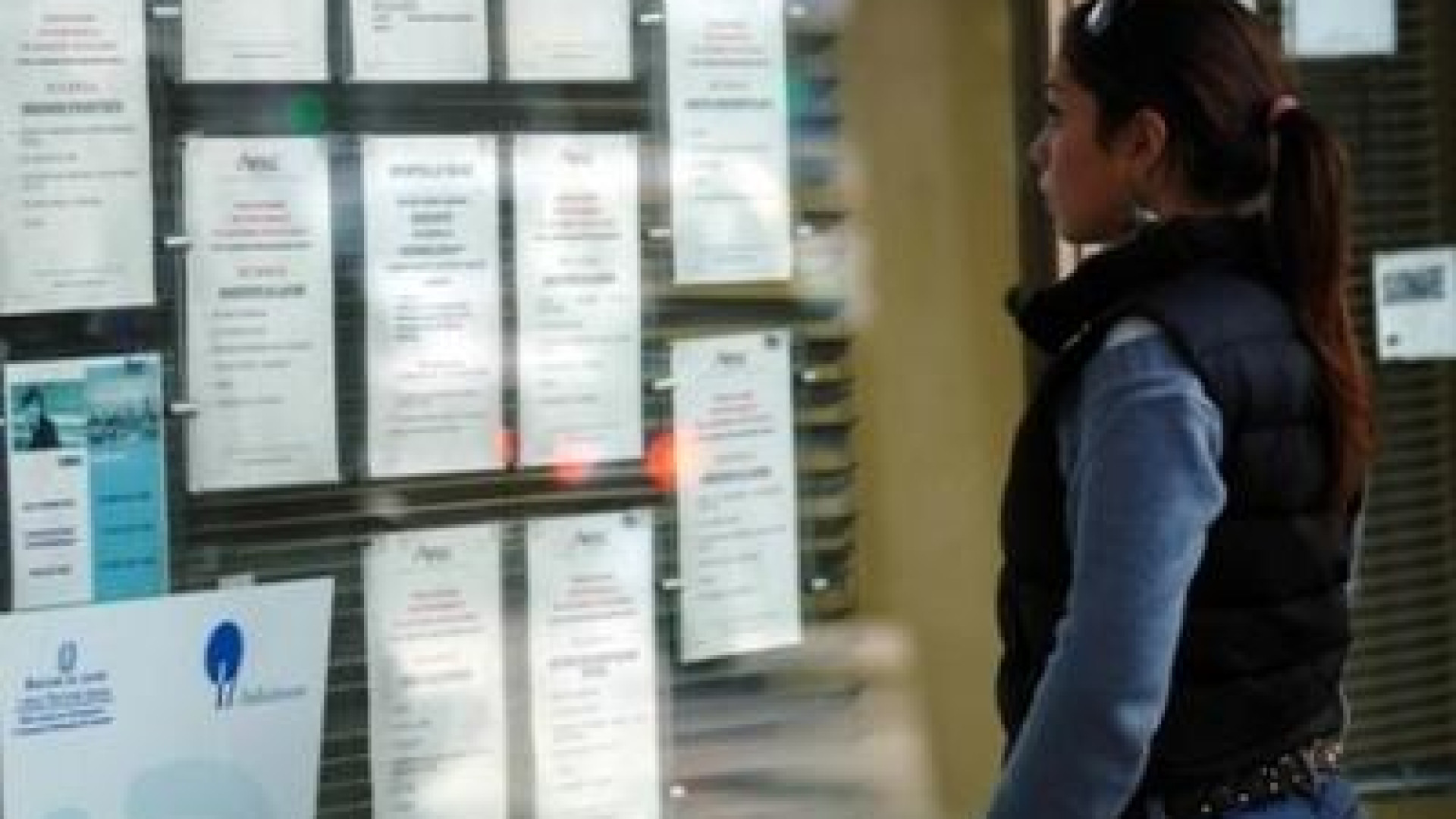 Offerte di lavoro: a Piacenza aumento del 5,3%. In testa internet e commercio