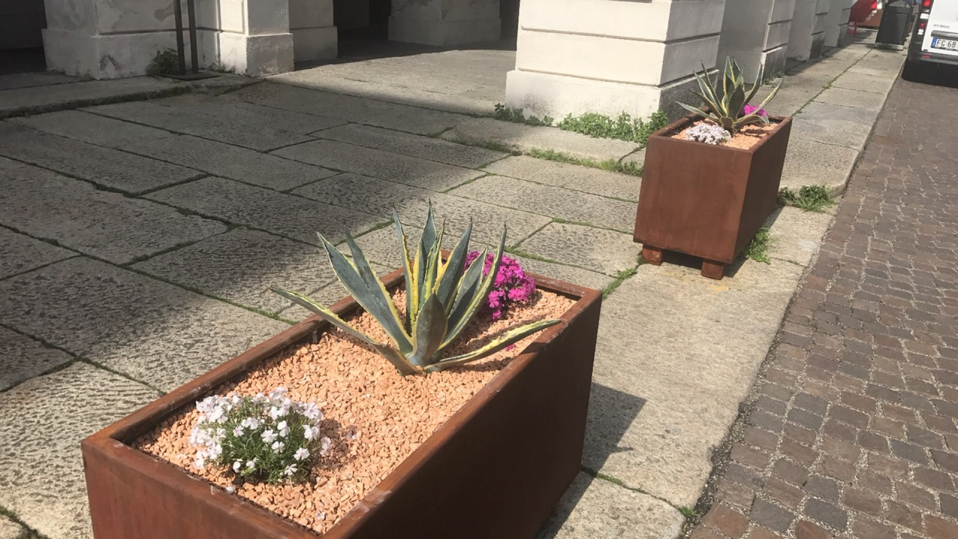 "Inadatta al nostro clima". E' polemica per l'agave davanti al Municipale