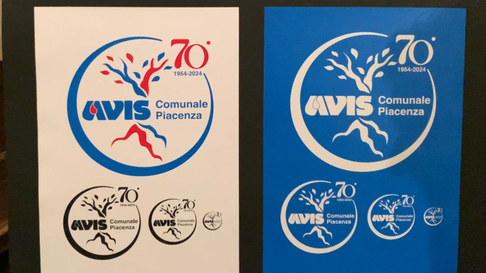 Avis Piacenza compirà 70 anni nel 2024. Il liceo Cassinari disegna il logo