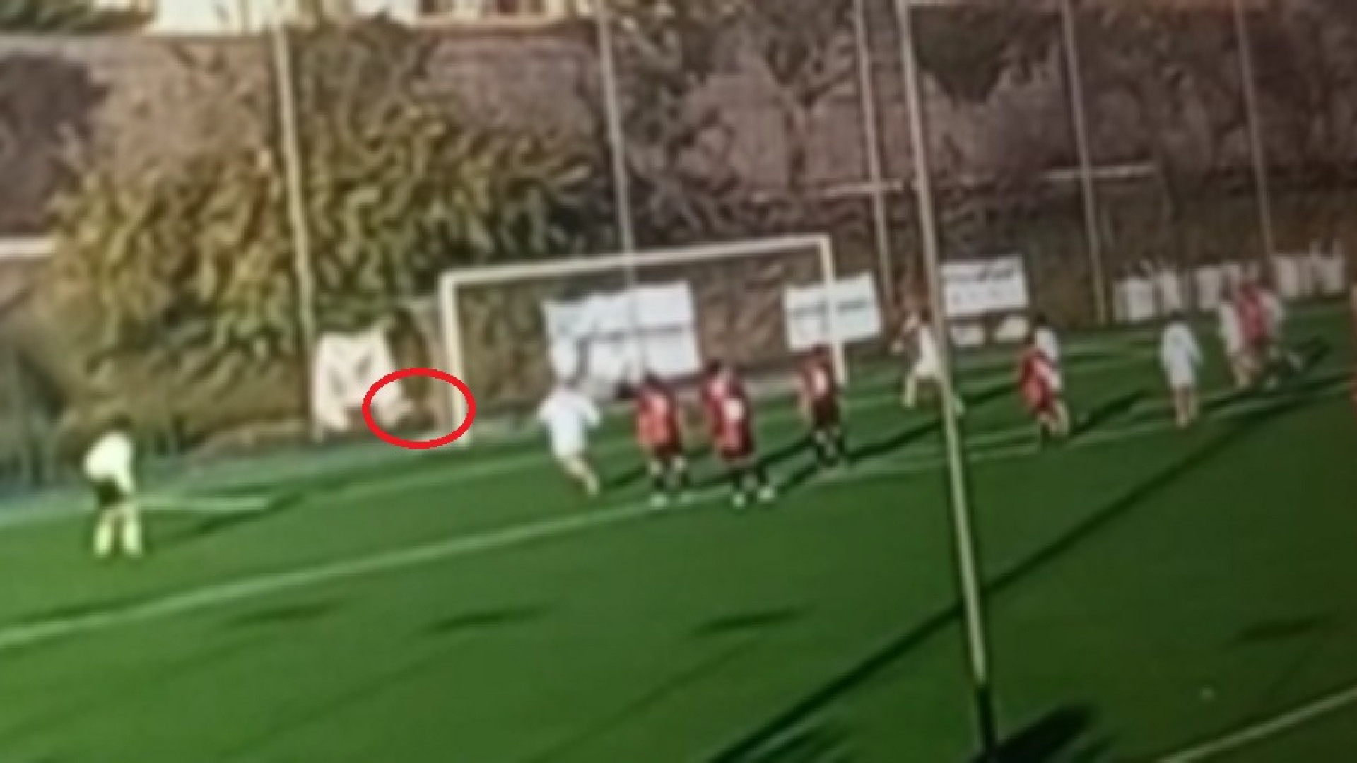Buco nella rete, gol non concesso al Vigolo: le immagini clamorose