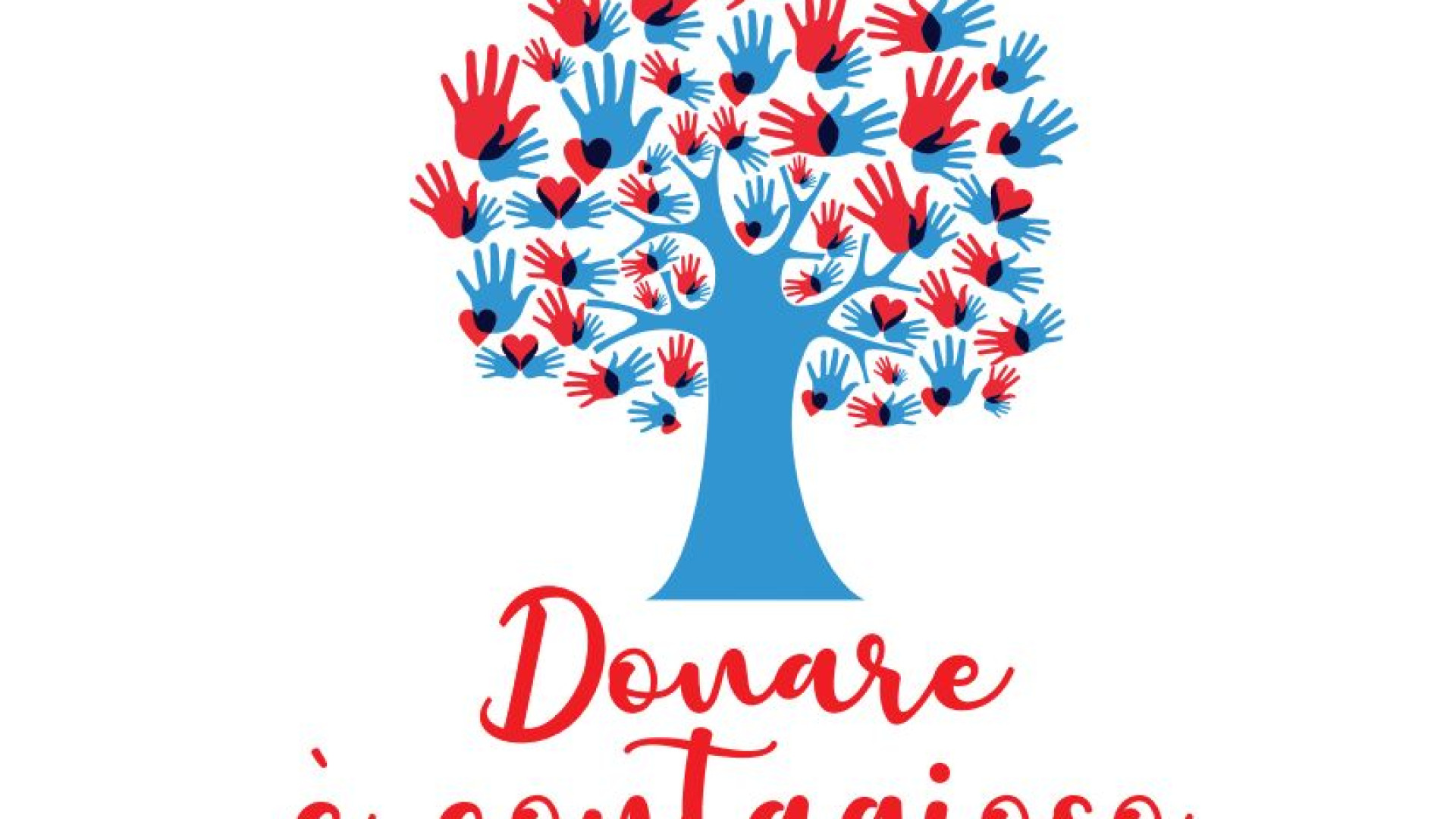 "Libertà per Piacenza", a Caritas e hospice i primi 30mila euro