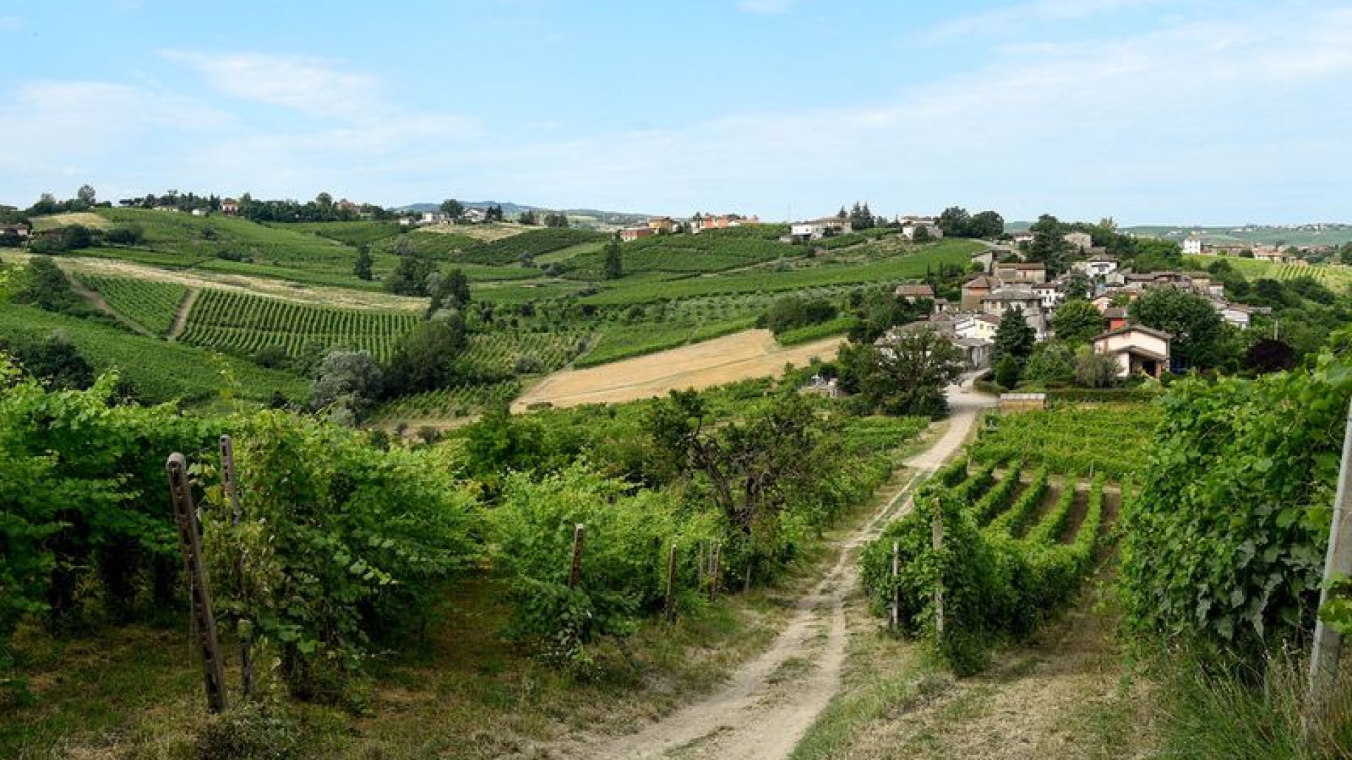 La più grande rassegna del vino piacentino torna a settembre