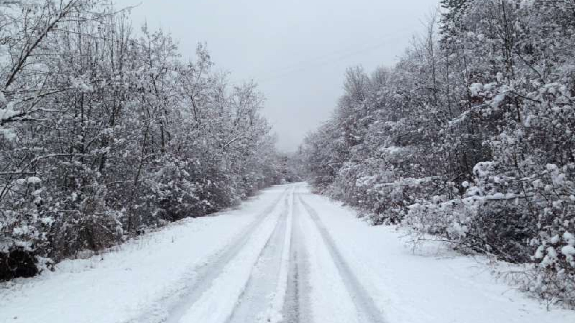 Ondata di maltempo: abbondanti nevicate in arrivo, anche in pianura