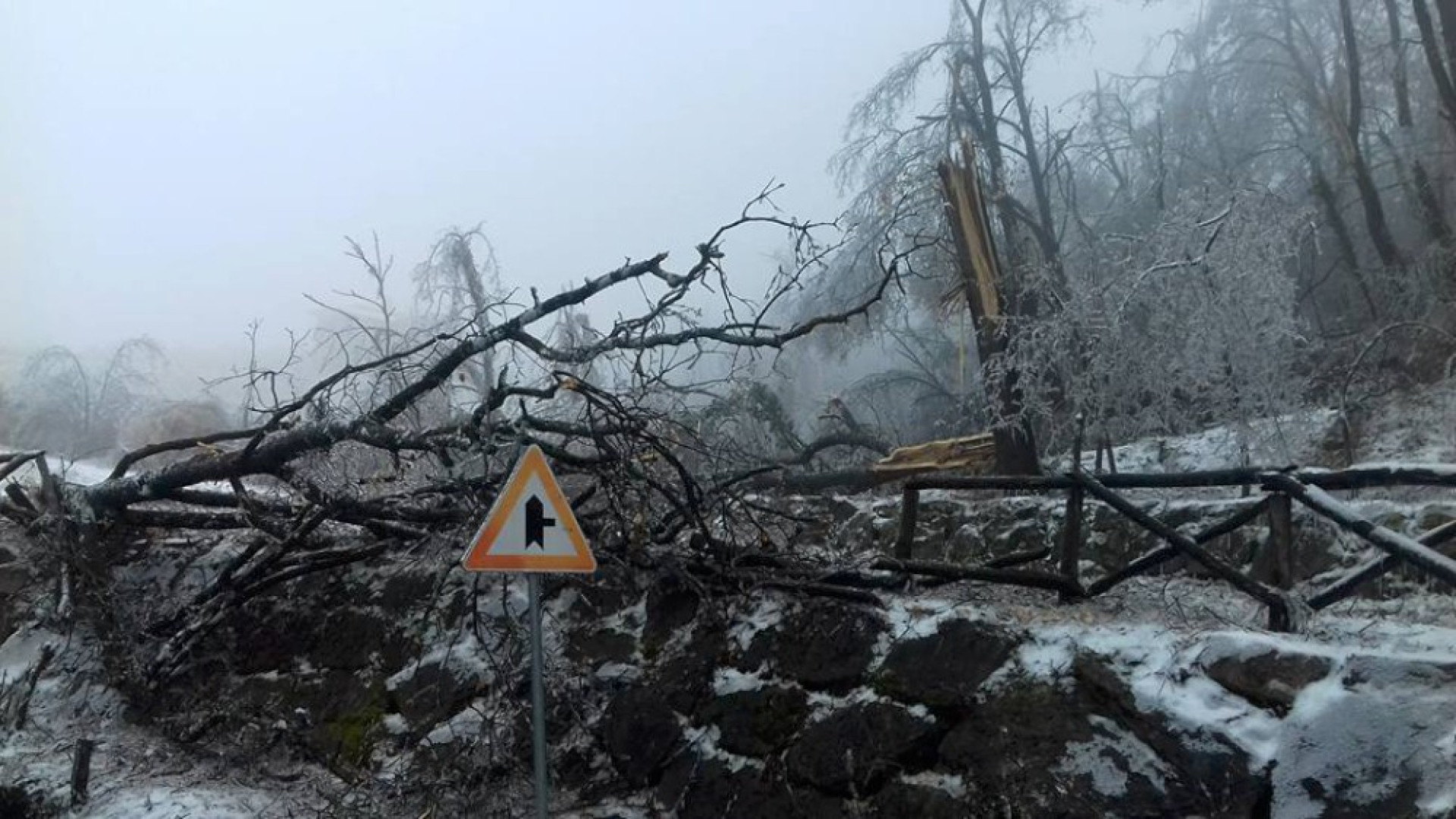 Emergenza maltempo: scuole chiuse, strade bloccate e case ancora senza luce, acqua e telefoni. Dodicimila persone ancora al buio