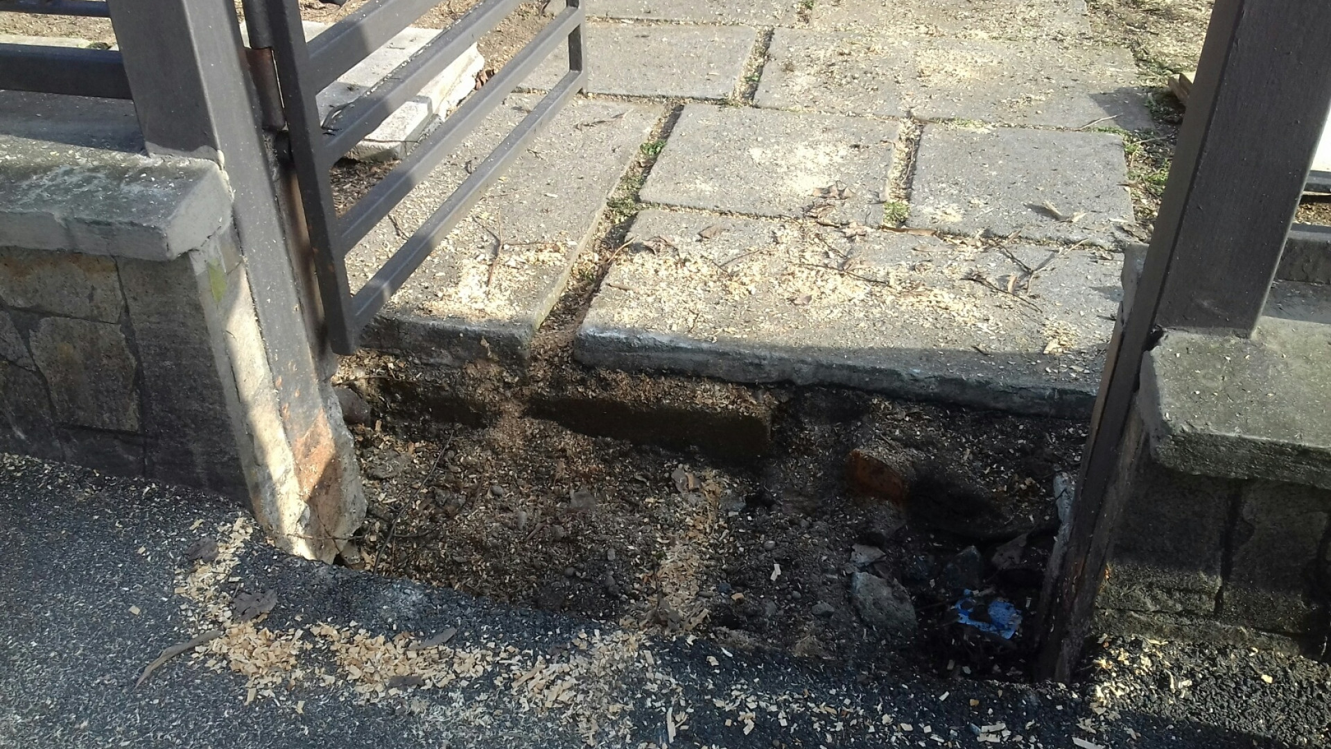 Marciapiedi e muretti distrutti: addio tigli in via Radini Tedeschi, ma scoppia la polemica