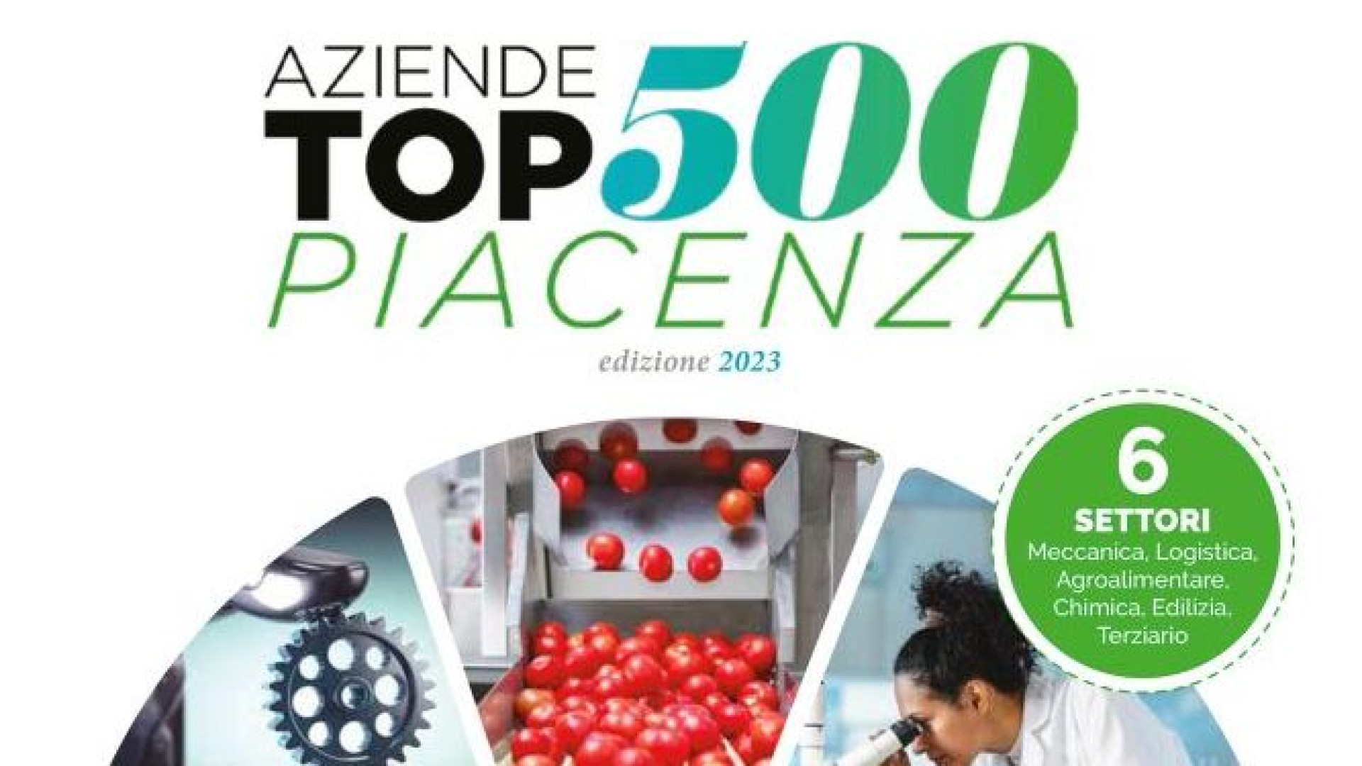 "Top 500", le migliori aziende del piacentino. Oggi gratis il supplemento con Libertà