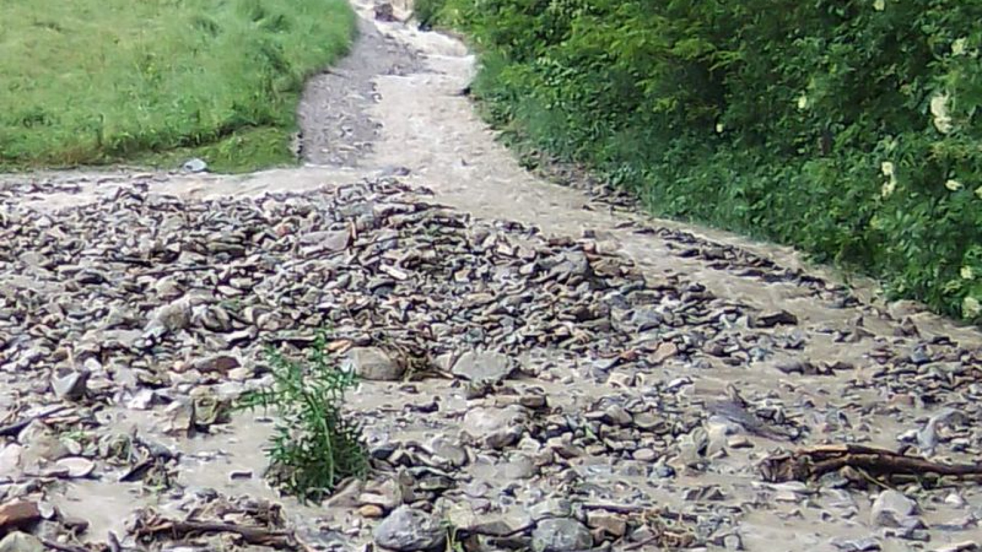 Frane e alluvioni, arrivano 700mila euro per i danni in Val Tidone e Val d'Arda