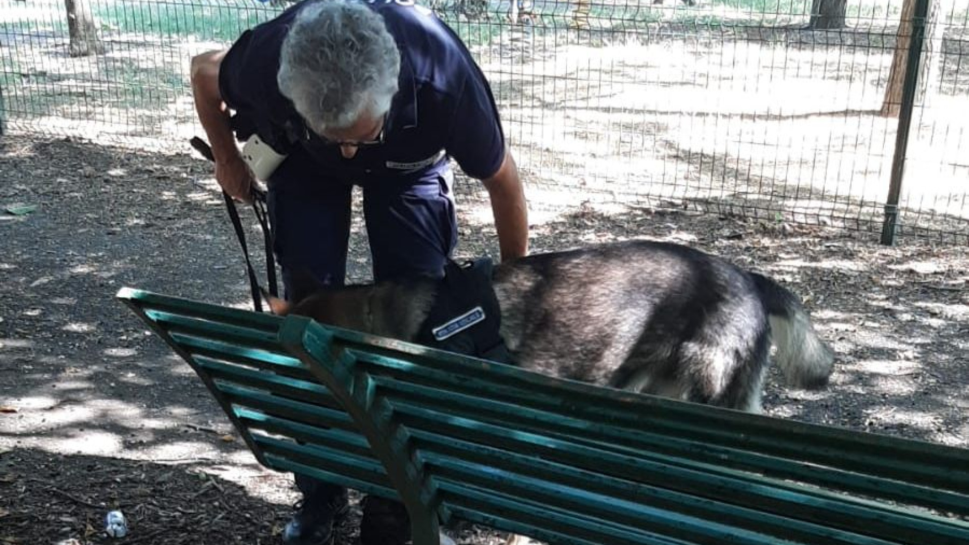 Baia del Re, due giovani nel parco con stupefacenti e alcol: li fiuta il cane Ector