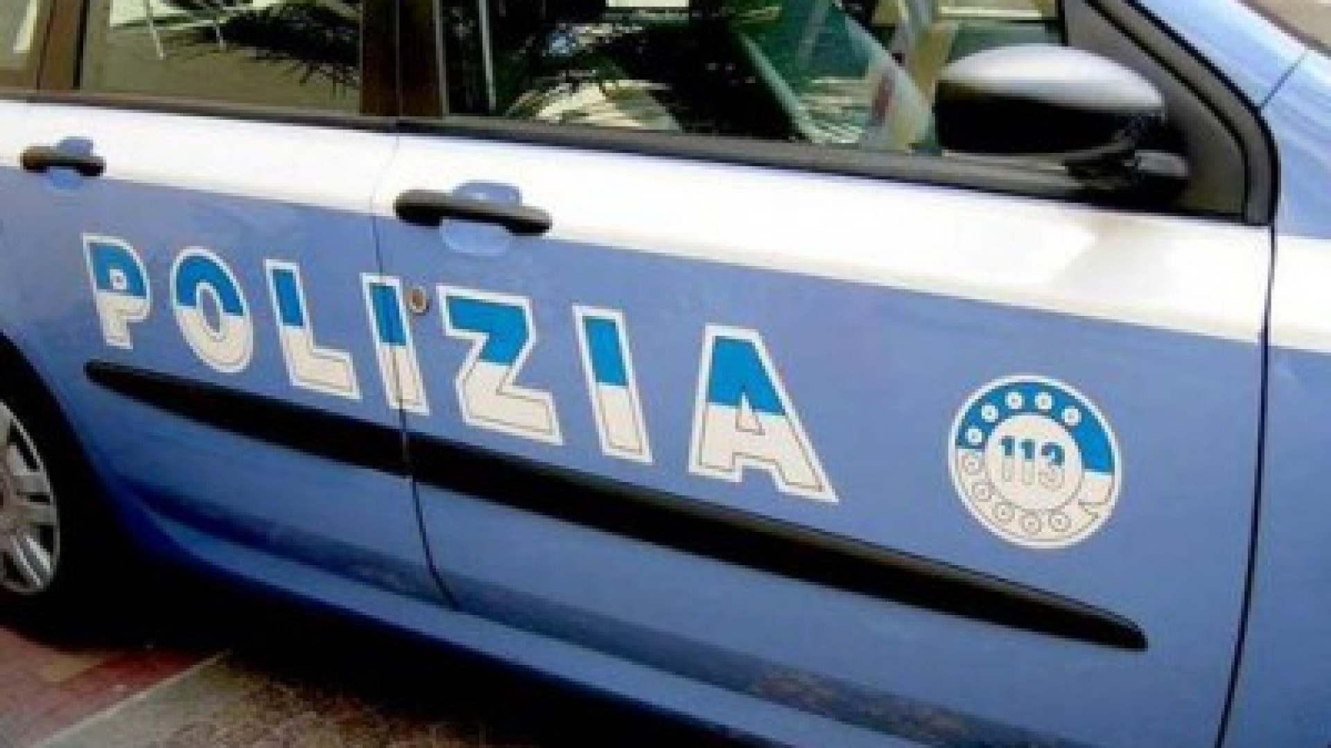 Cani al guinzaglio dell’auto in corsa, denunciato per ubriachezza