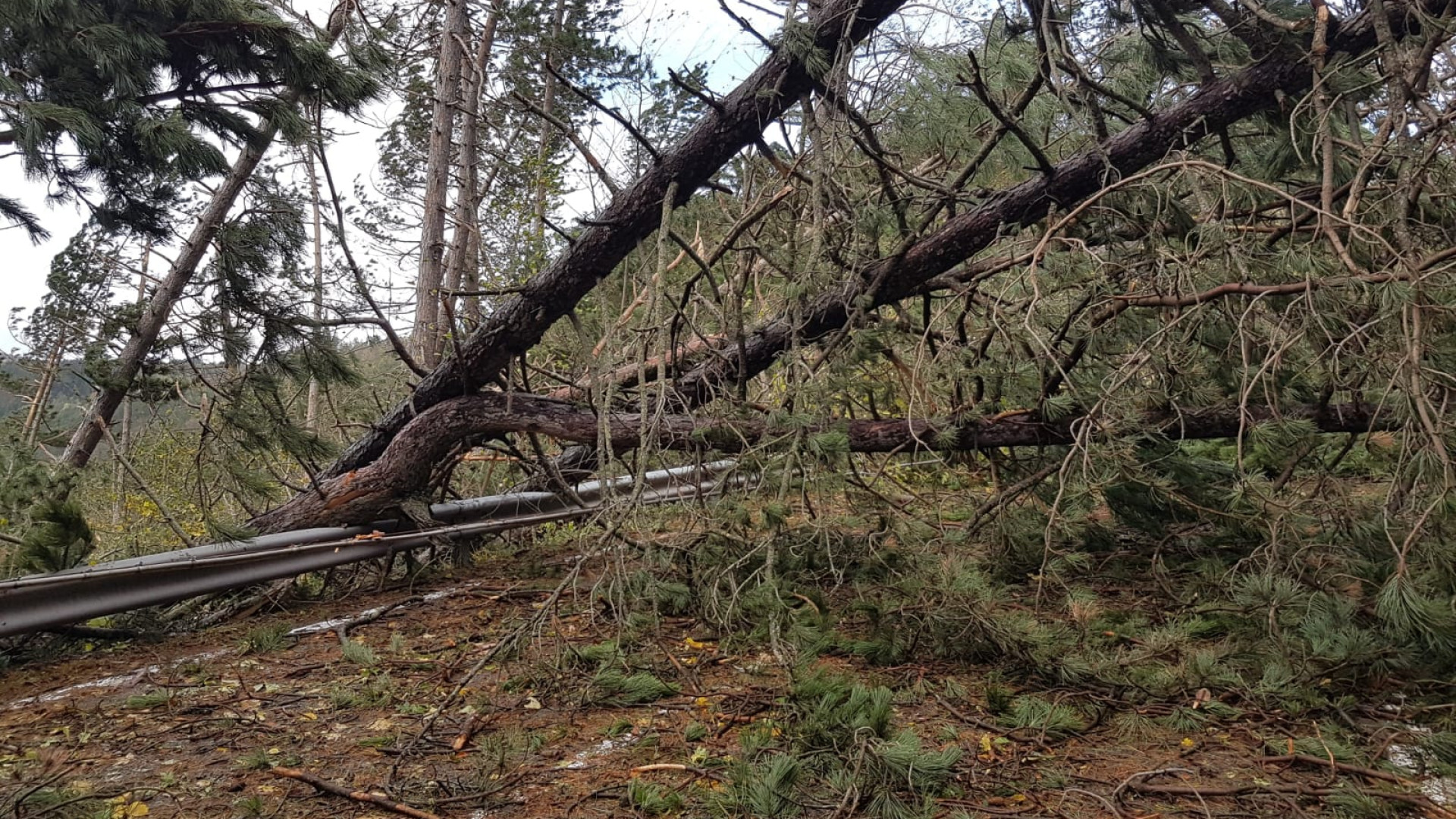 Forti venti previsti per domani sui monti, allerta meteo rossa