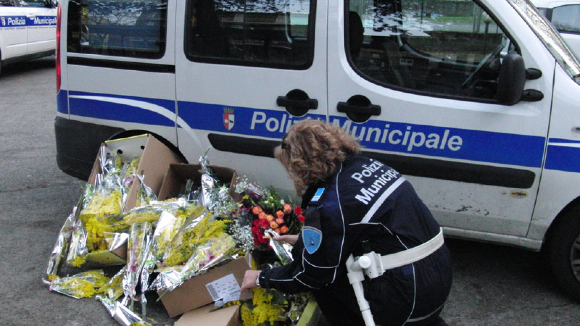 Fiori "abusivi": sequestrati oltre 350 mazzi di mimose venduti illegalmente