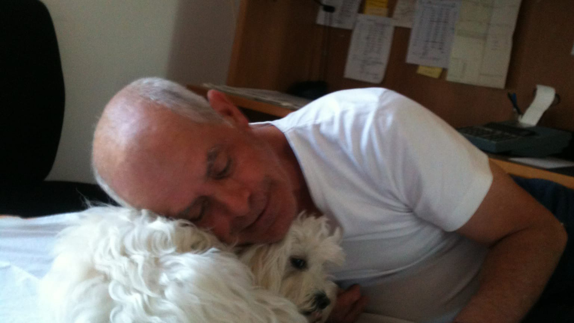 Lola morta azzannata da un altro cane: "Non sono riuscito a bloccare l'aggressione"