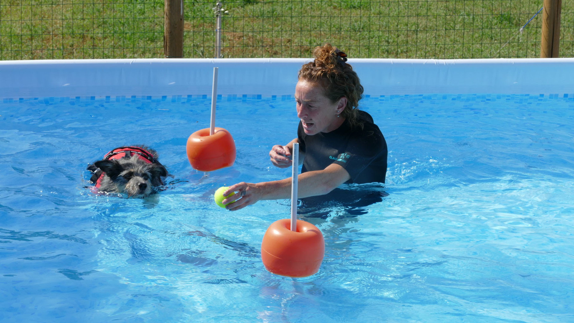 Riabilitazione ed esercizi, ad Agazzino nasce la piscina per cani