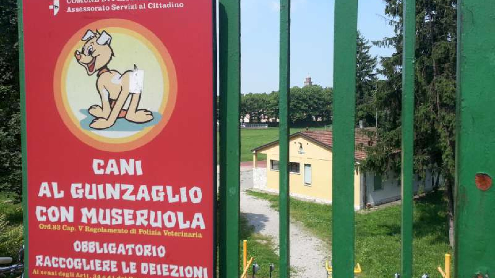 Daturi vietato ai cani perché sporcano: d'accordo anche i proprietari