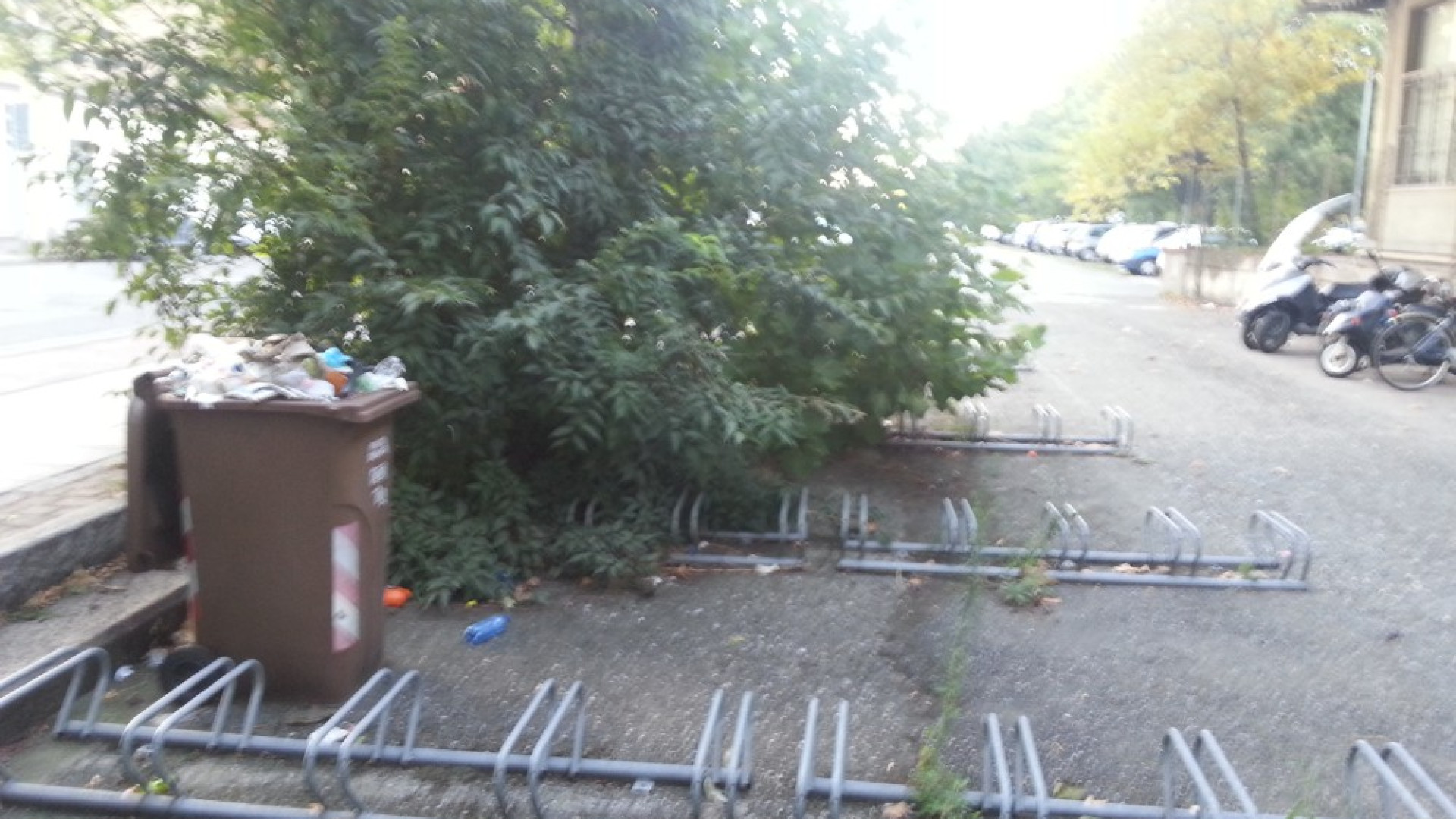 Parcheggio bici alla stazione, incuria e degrado. Raffica di segnalazioni