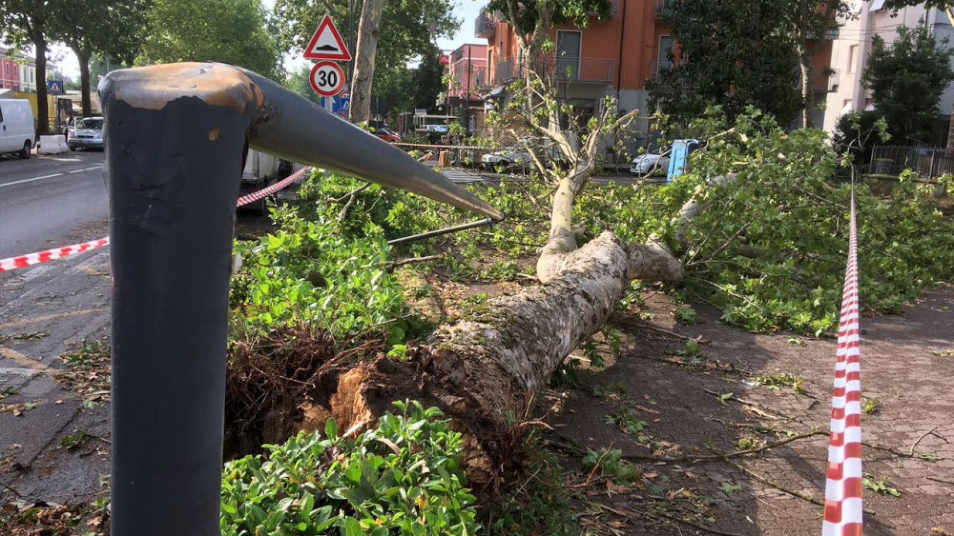 Alberi caduti, black out e allagamenti: Fiorenzuola conta i danni. Il sindaco ai cittadini: "Aiutateci a pulire i tombini"