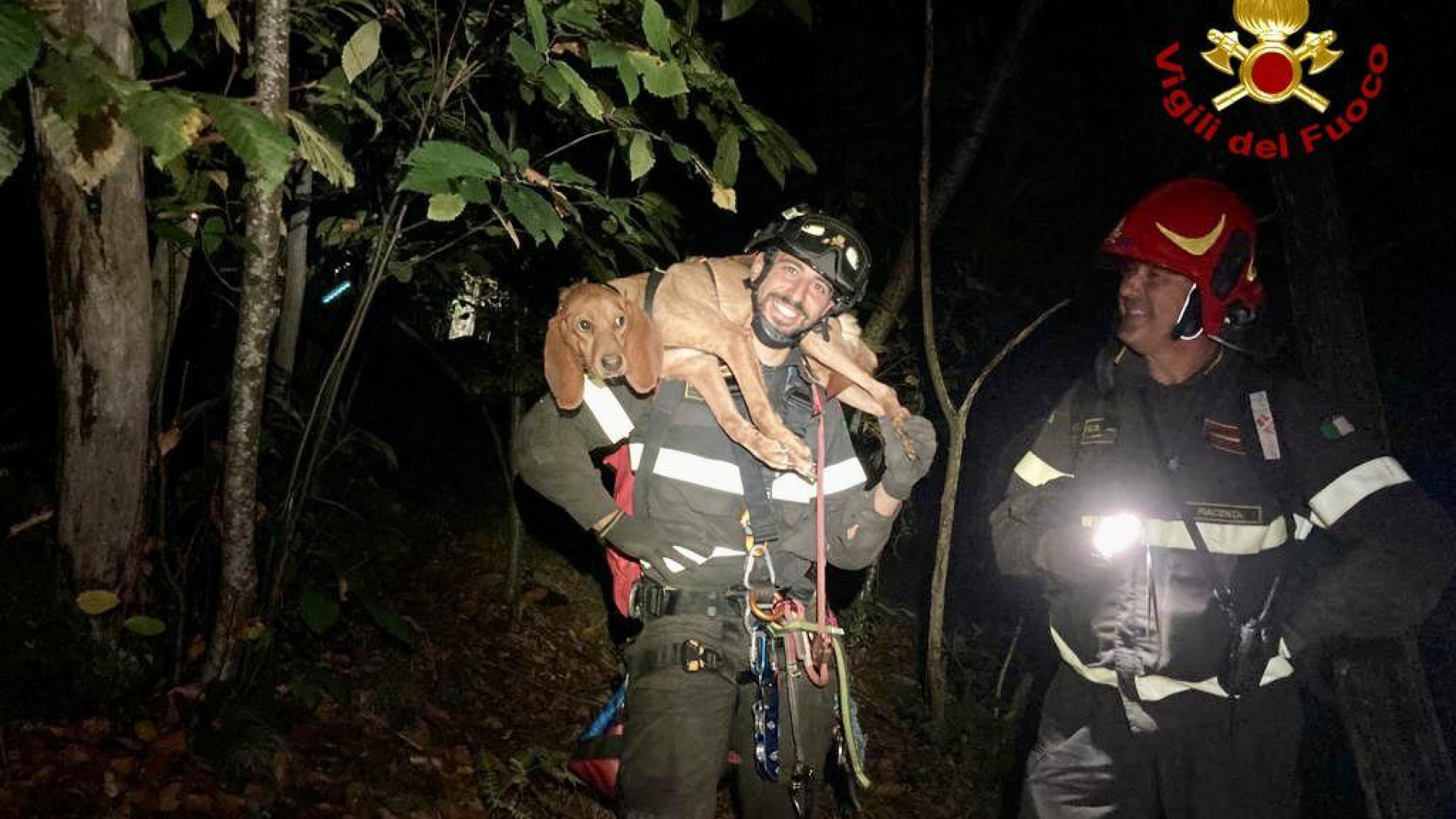 Da tre giorni in fondo al dirupo, i vigili del fuoco salvano cane da caccia