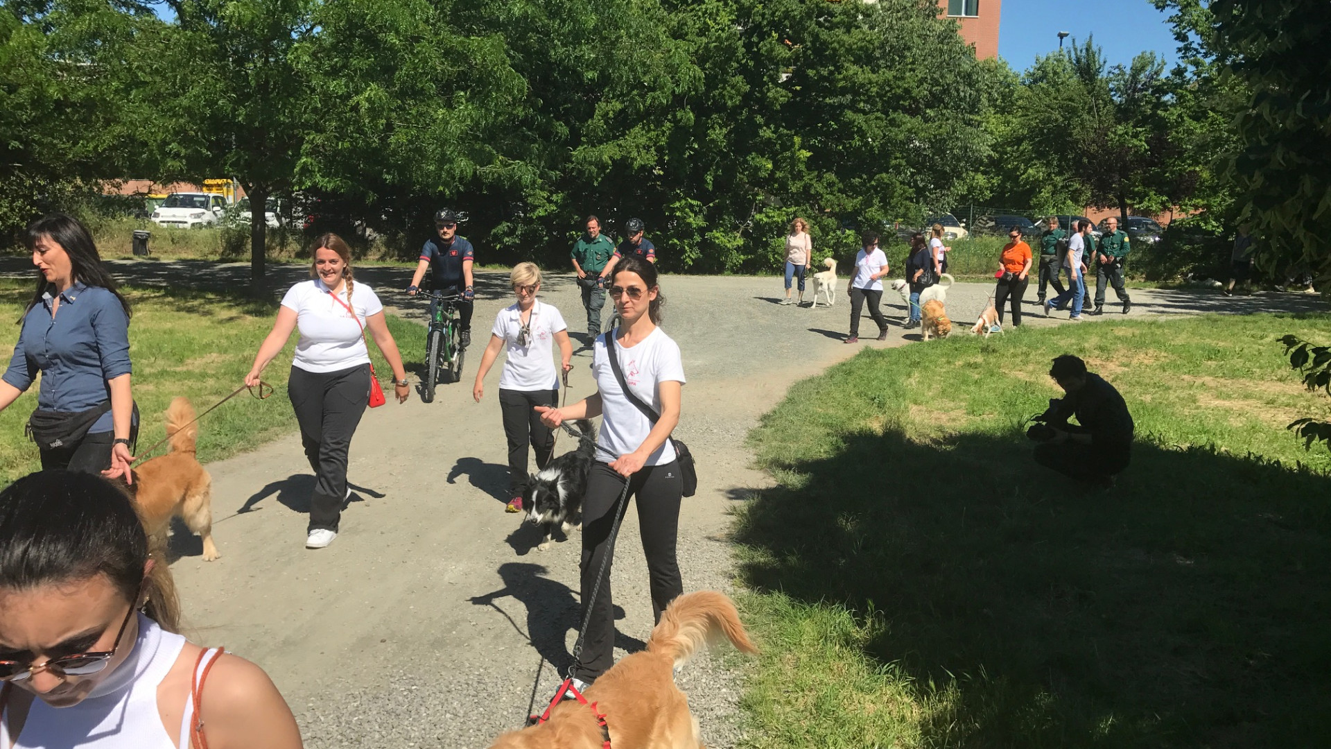 A spasso con il cane: regole e precauzioni per una buona convivenza