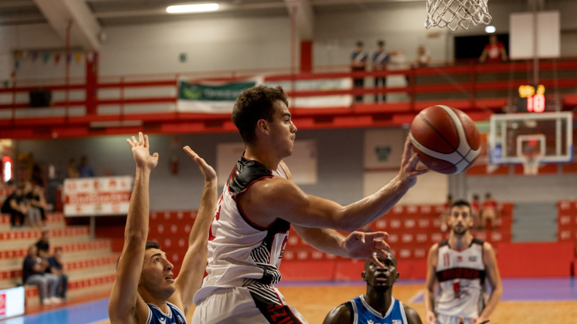 La Bakery Piacenza gioca bene, ma non basta. Pielle Livorno vince 67-78