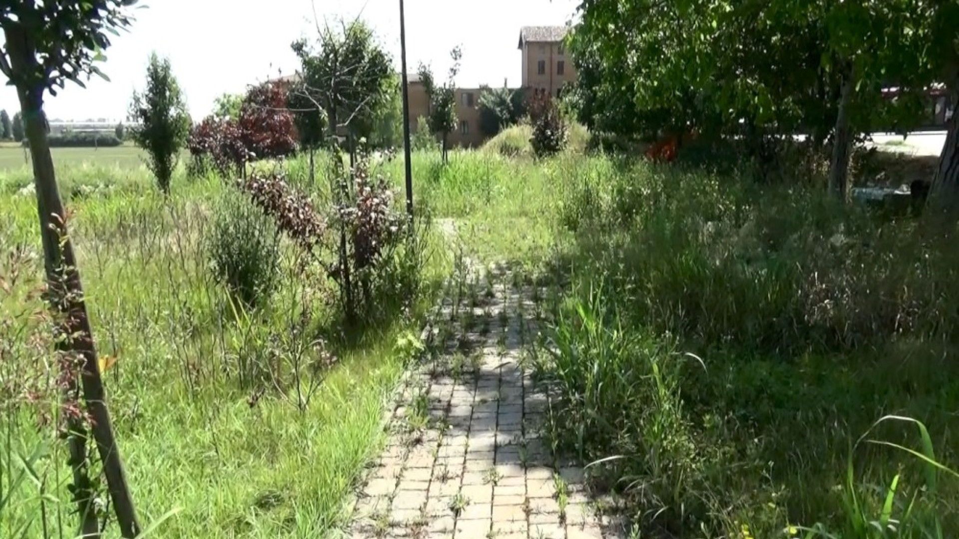 Borgotrebbia, giardino incolto. I residenti:"Il Comune lo sistemi, paghiamo le tasse"