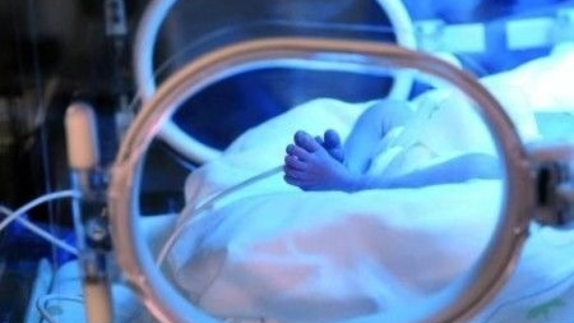 Elia non ce l’ha fatta. Era nato dopo la morte della mamma