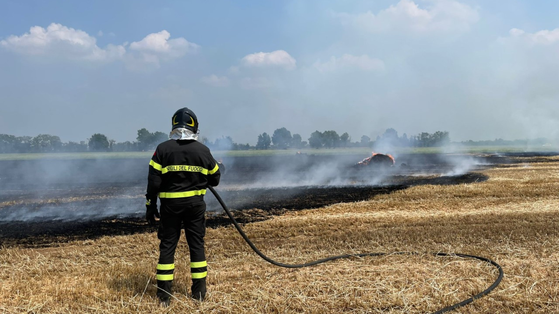 Polignano, in fiamme un campo di frumento. Incendio domato dai vigili del fuoco