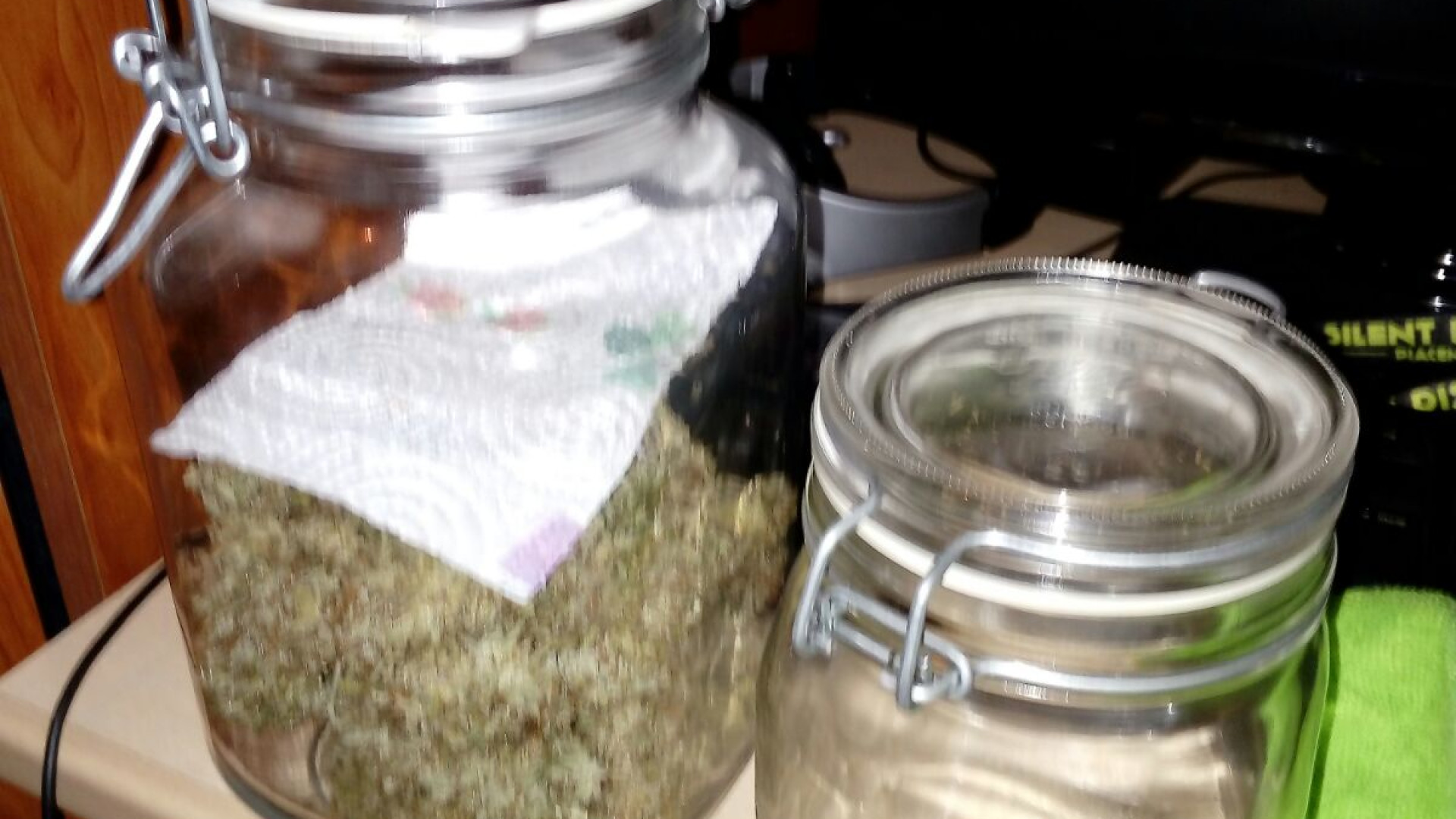 In casa una serra per la coltivazione di marijuana, in manette due giovani piacentini