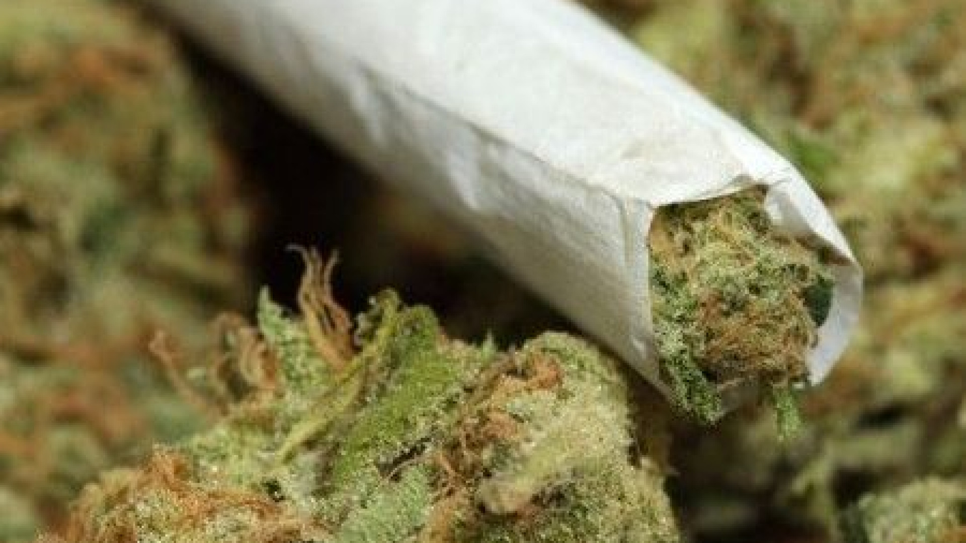 Fermato mentre fumava uno spinello. Gli agenti trovano mezzo etto di marijuana
