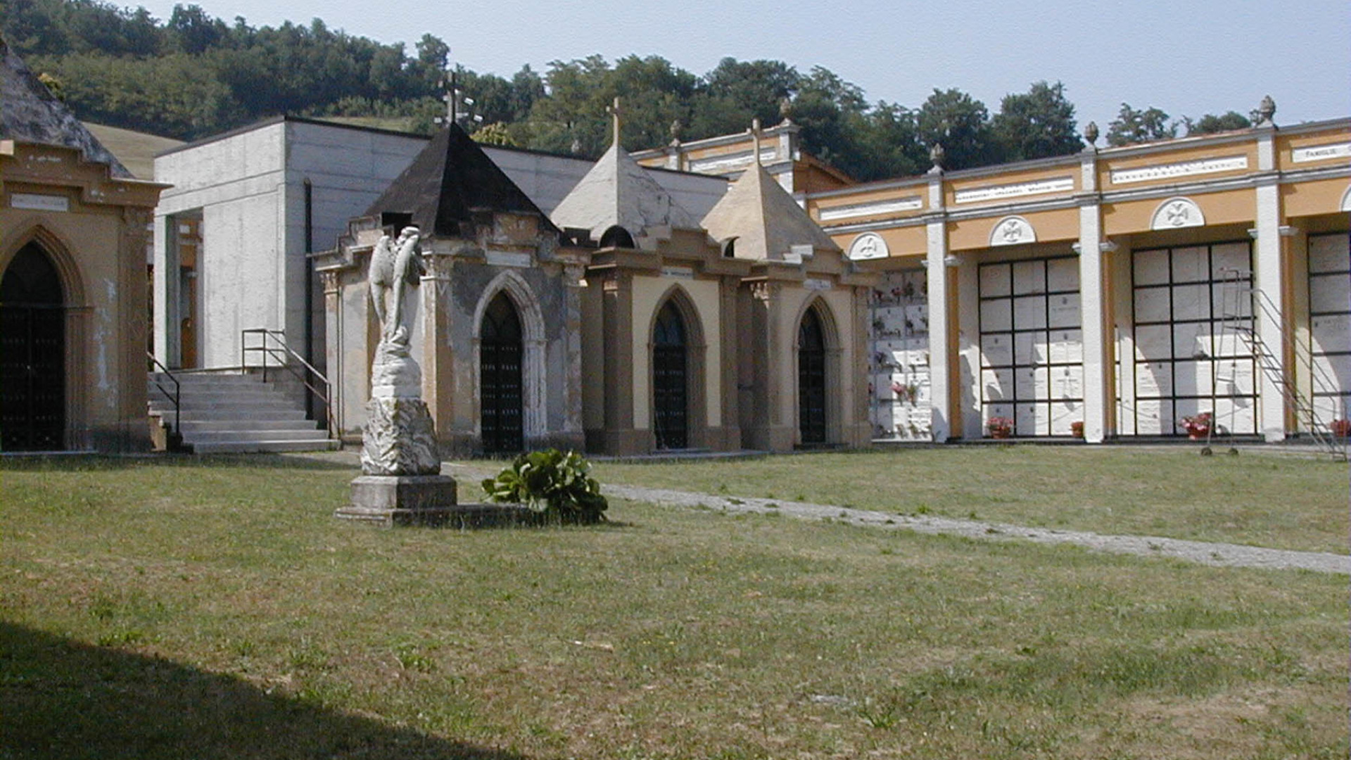 Piozzano, cimitero assediato dai calabroni: il Comune chiama ditta specializzata