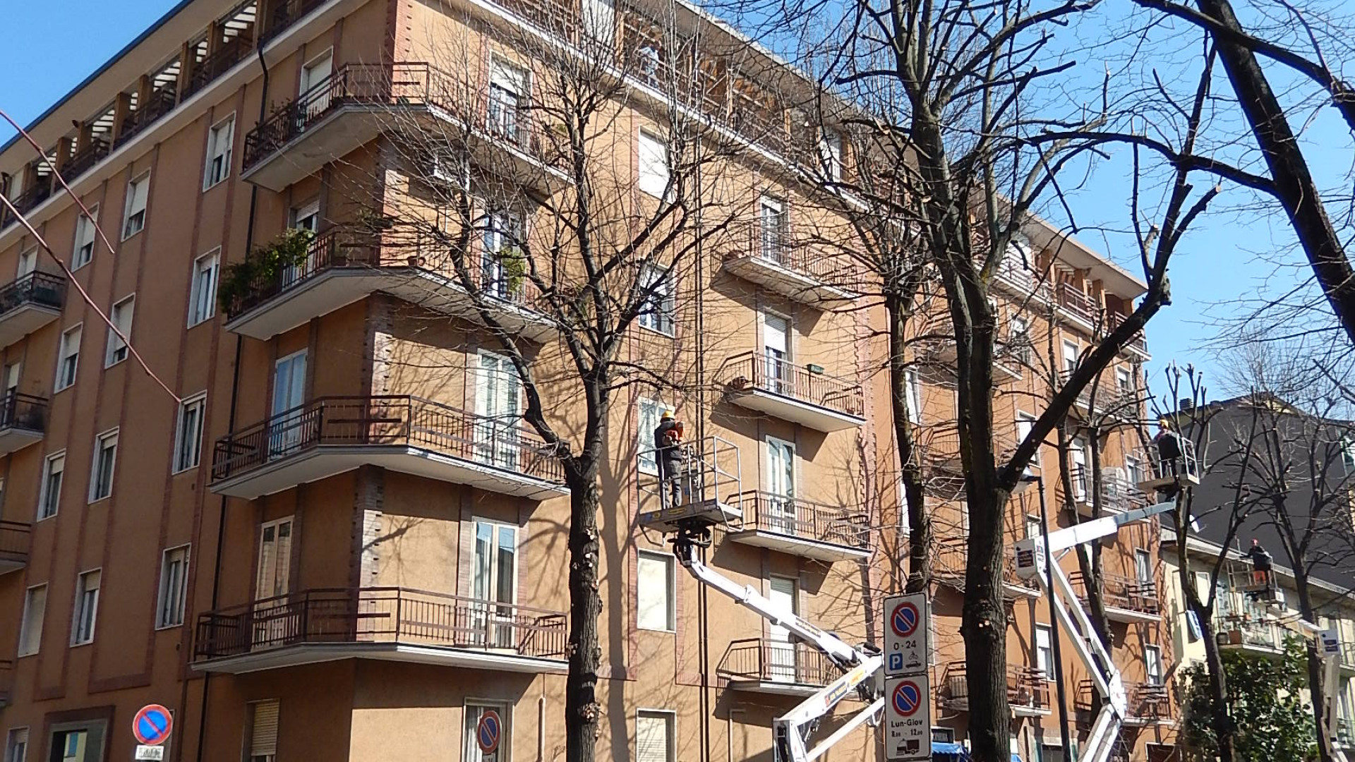 Potatura piante, scarseggiano i fondi. “Servirebbero 400mila euro all’anno. Troppi"