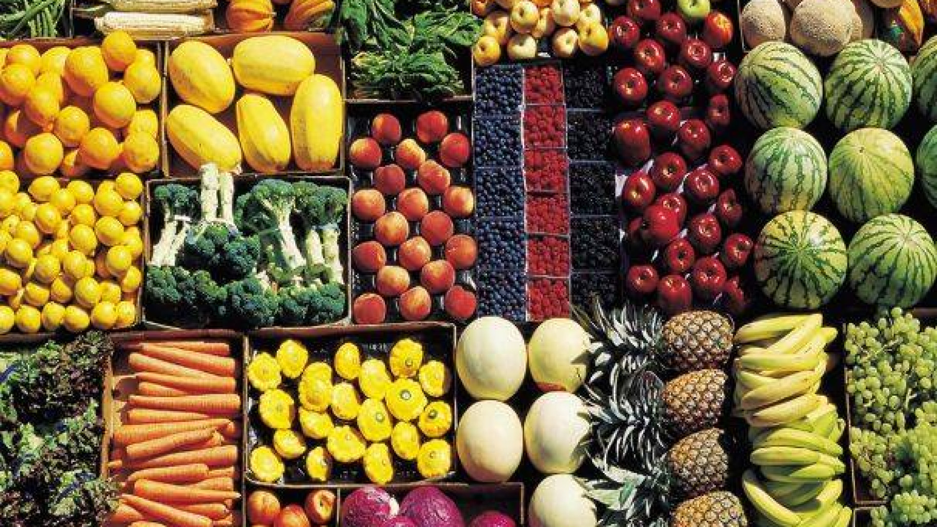 “La salute vien mangiando”, al vial'educazione alimentare per gli studenti