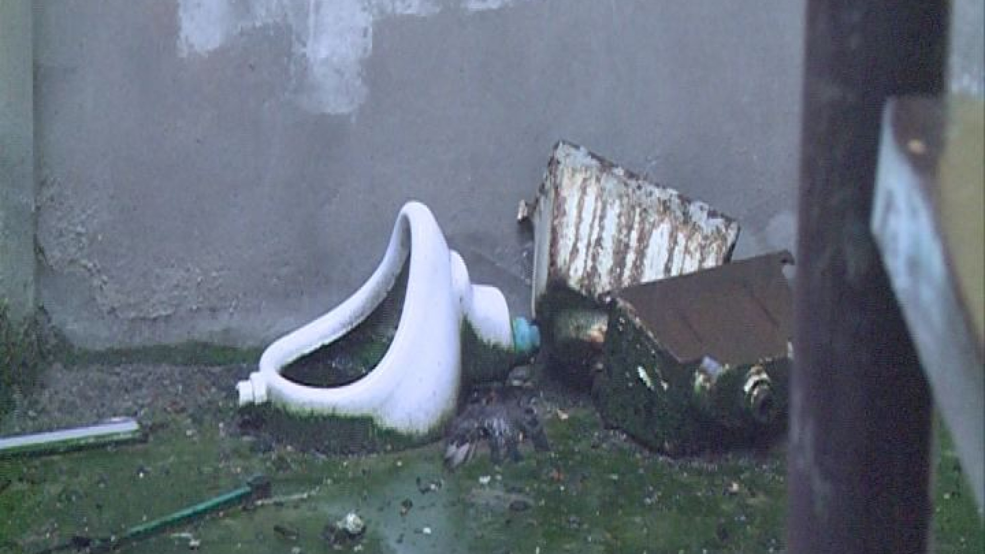 Ex albergo San Marco: "Sanitari e veleno in cortile, che schifo”
