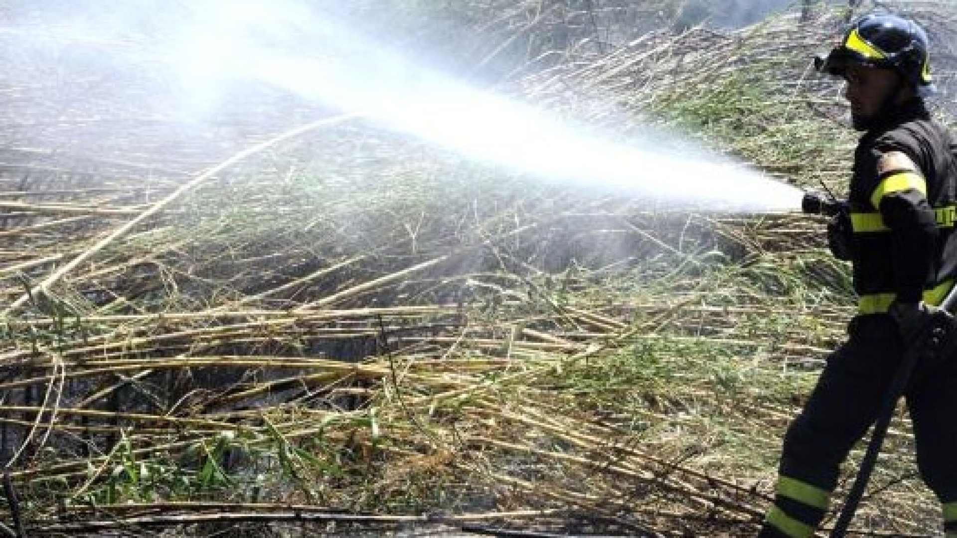 Albarola, campo in fiamme