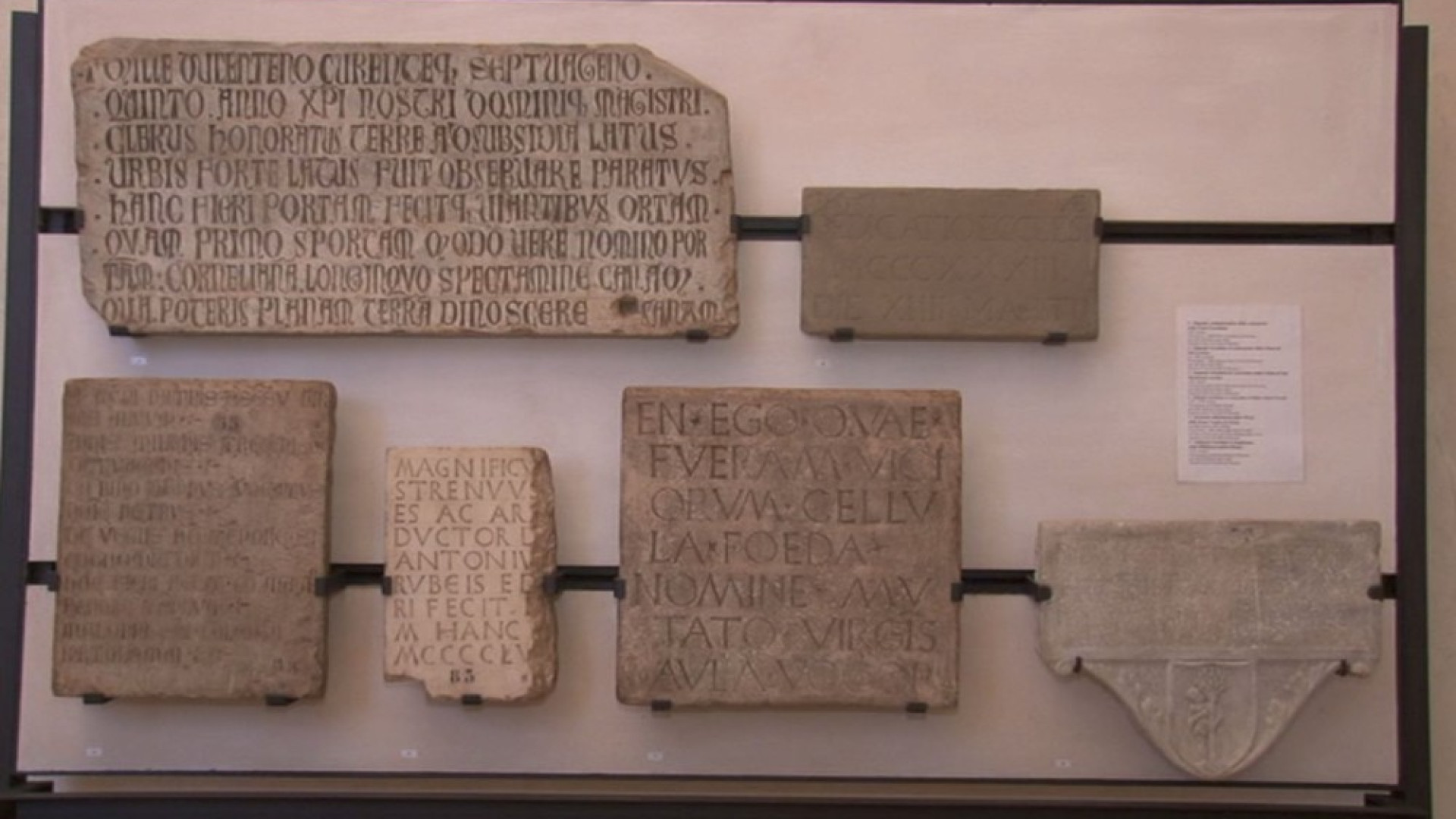 Musei piacentini, si allargano gli orari di visita. Apertura non stop allo Iat