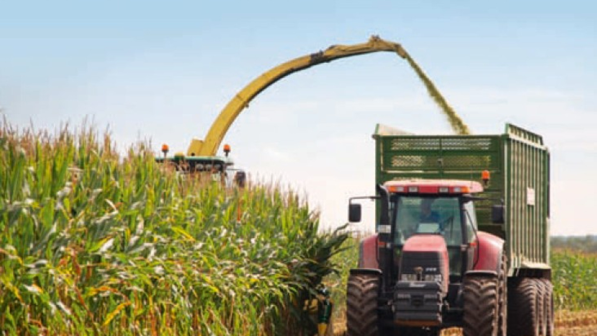 Bilancio di Confagricoltura: "Agricoltori hanno bisogno di nuovi strumenti"