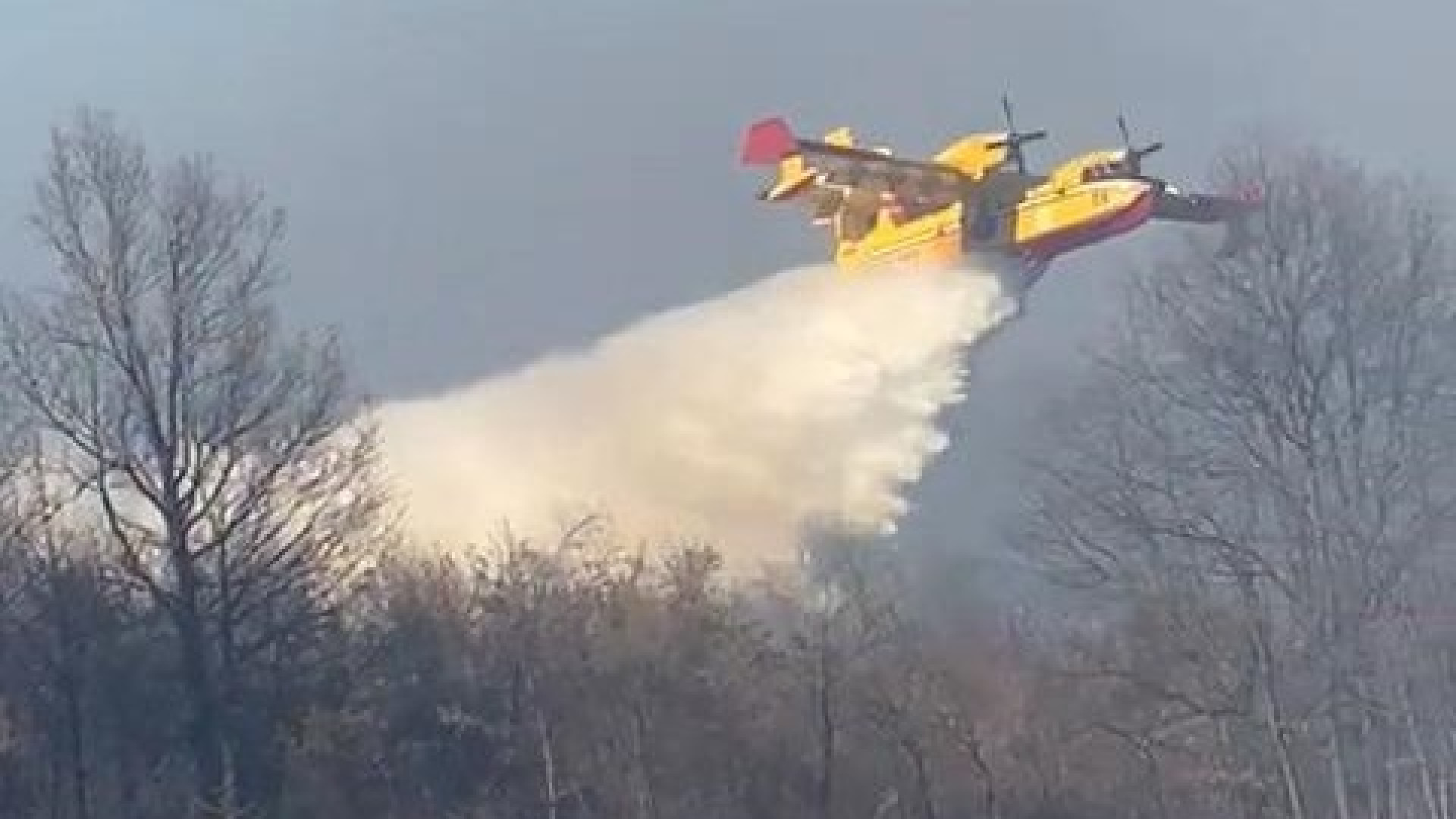 Val Trebbia, incendio nei boschi di Aglio. In azione i canadair dei vigili del fuoco