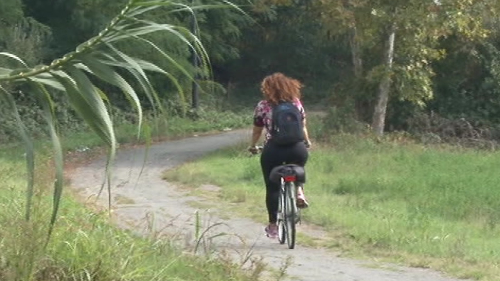 Viaggio verso il centro di Piacenza: la ciclabile di Montale nel degrado