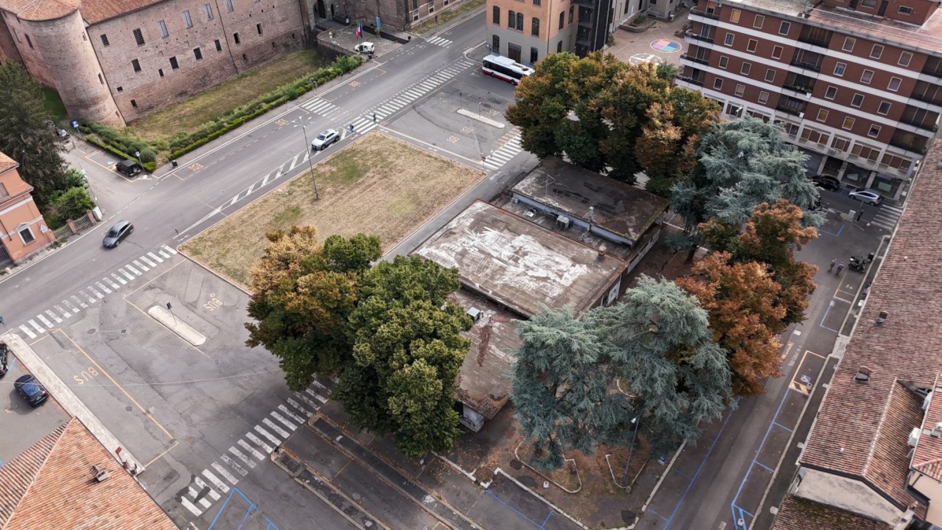 "Contro il taglio degli alberi e il parcheggio": lunedì sit-in davanti al Comune