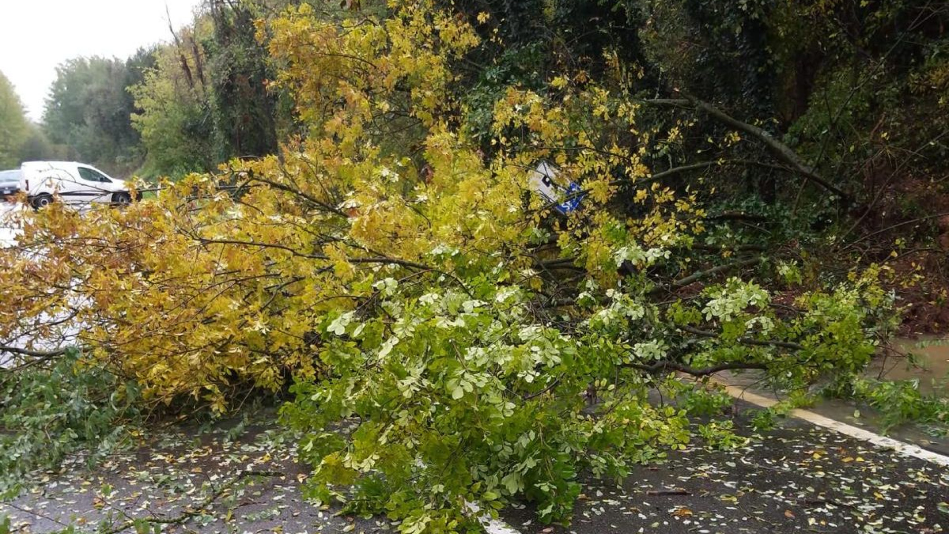 Frana a Croara, temporaneamente chiusa la strada provinciale. Allerta meteo prolungata di 24 ore