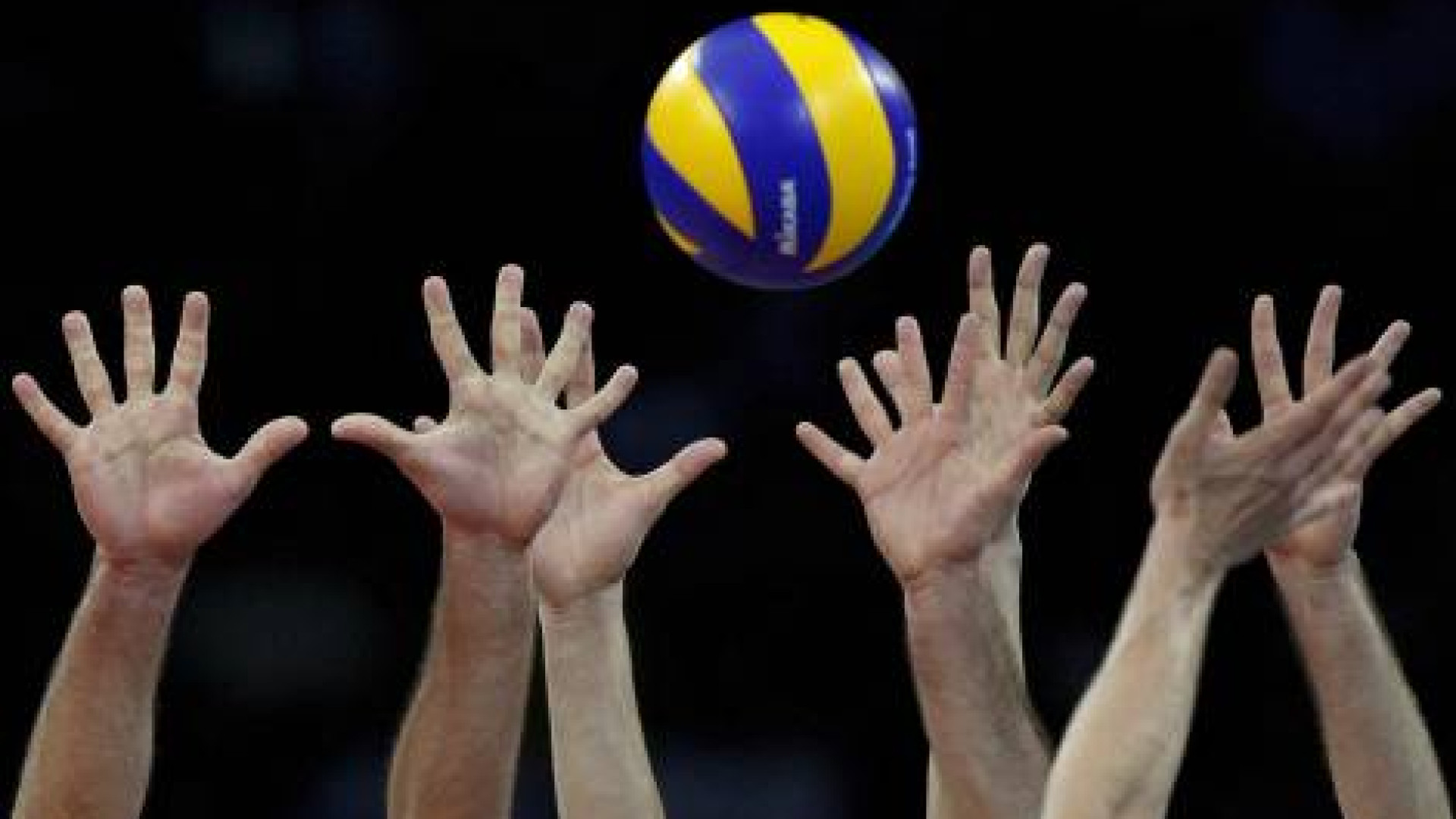 Volley: colpo grosso per la Lpr volley. Arriva l'opposto Luburić