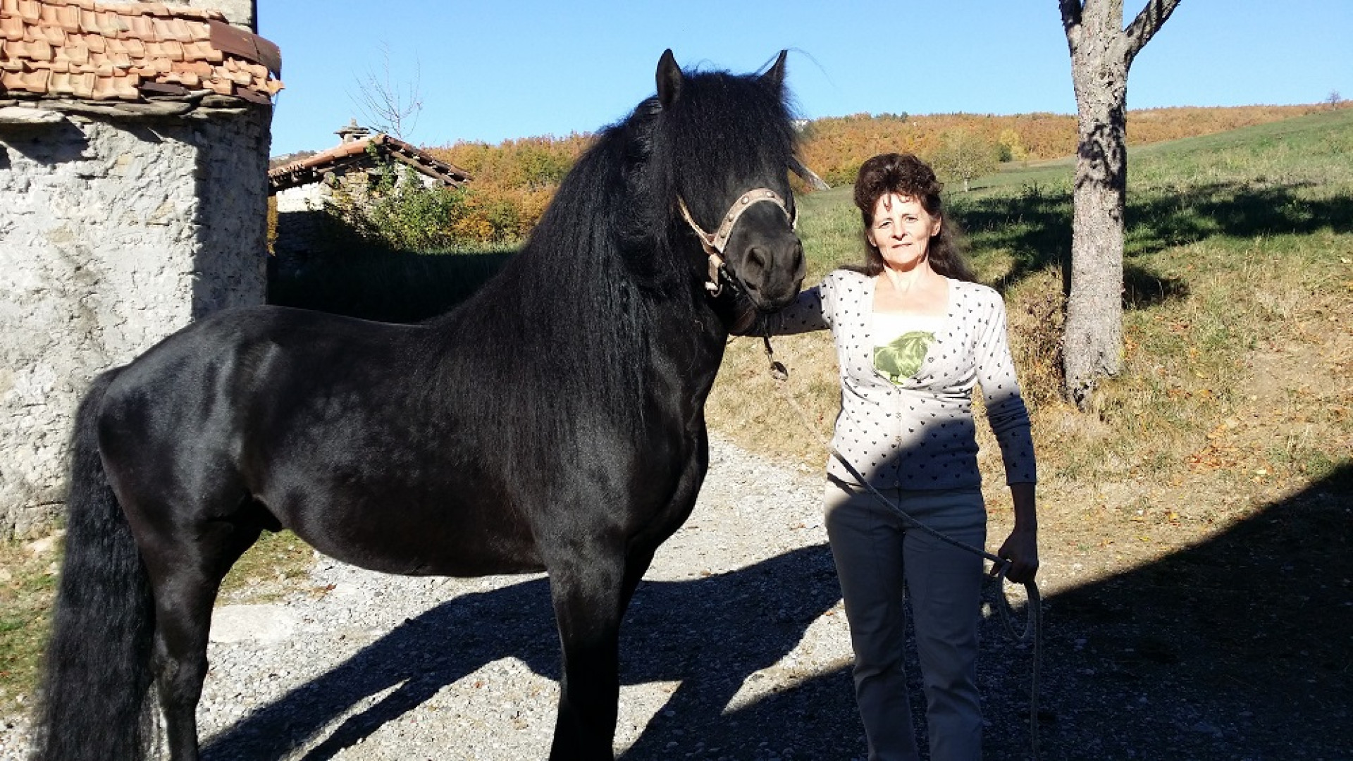 Allevatori a Farini da 4 generazioni. I cavalli bardigiani di Pierina