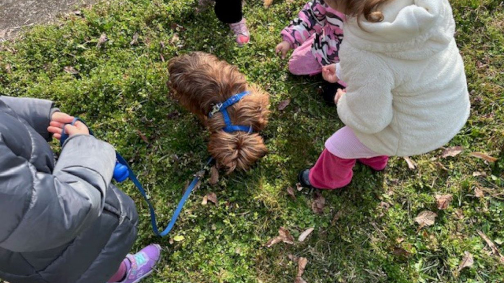 Alla Tina Pesaro di Castel San Giovanni si impara anche l’amore per gli animali