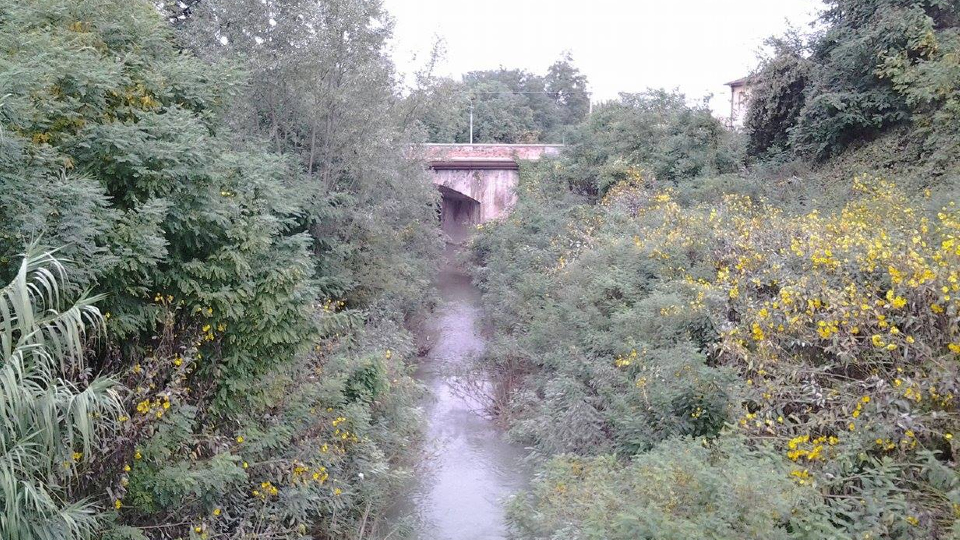 L'appello da Cortemaggiore: "Arda bomba a orologeria in caso di alluvione"