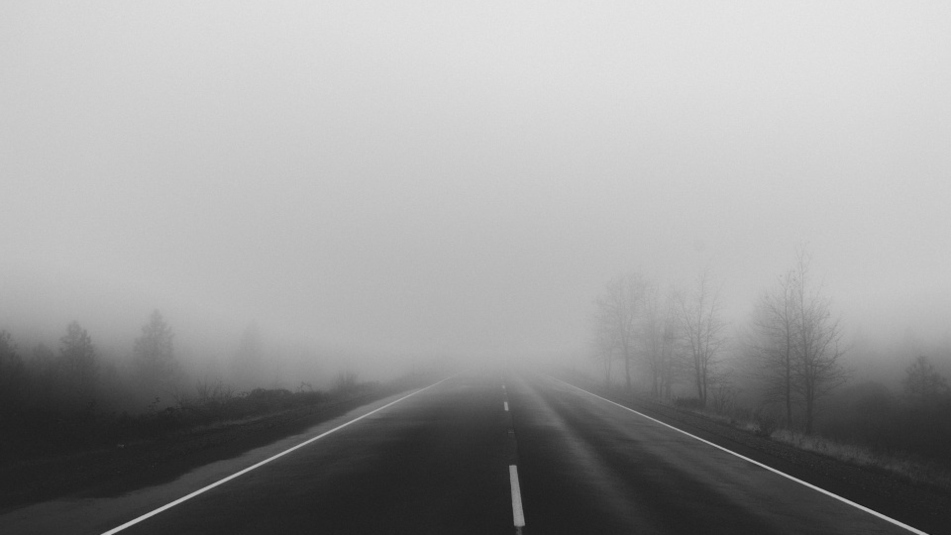 Indice del clima, Piacenza tra le ultime sei su 107 province: male nebbia e freddo