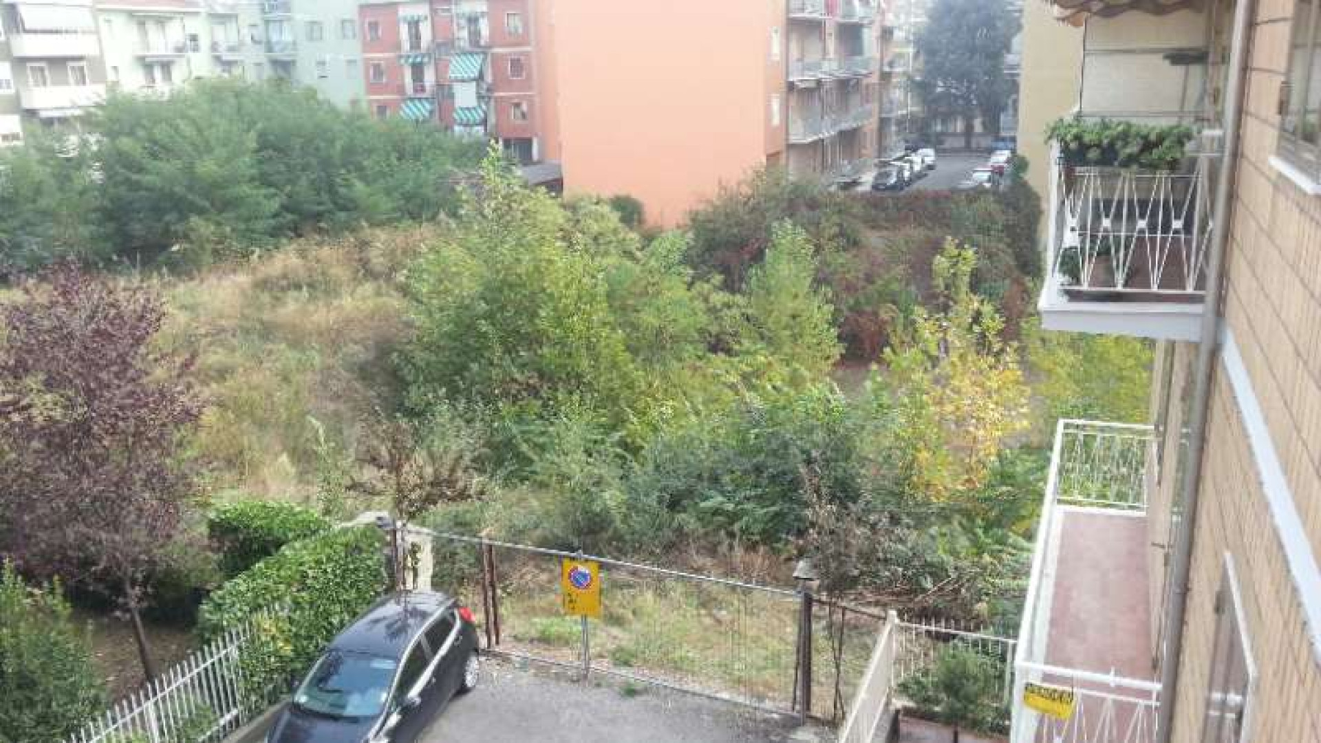 Topi, zanzare e bisce nella zona di viale Dante: l’appello dei residenti