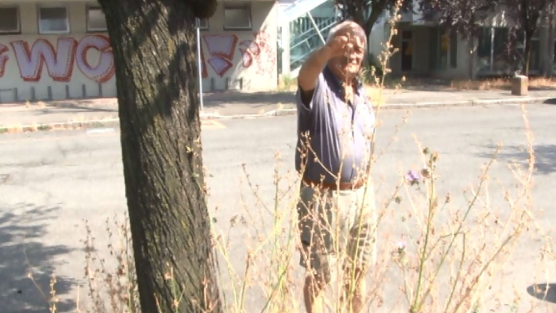 "Erbacce alte, rami pericolanti, degrado in via Casella". La segnalazione di un residente