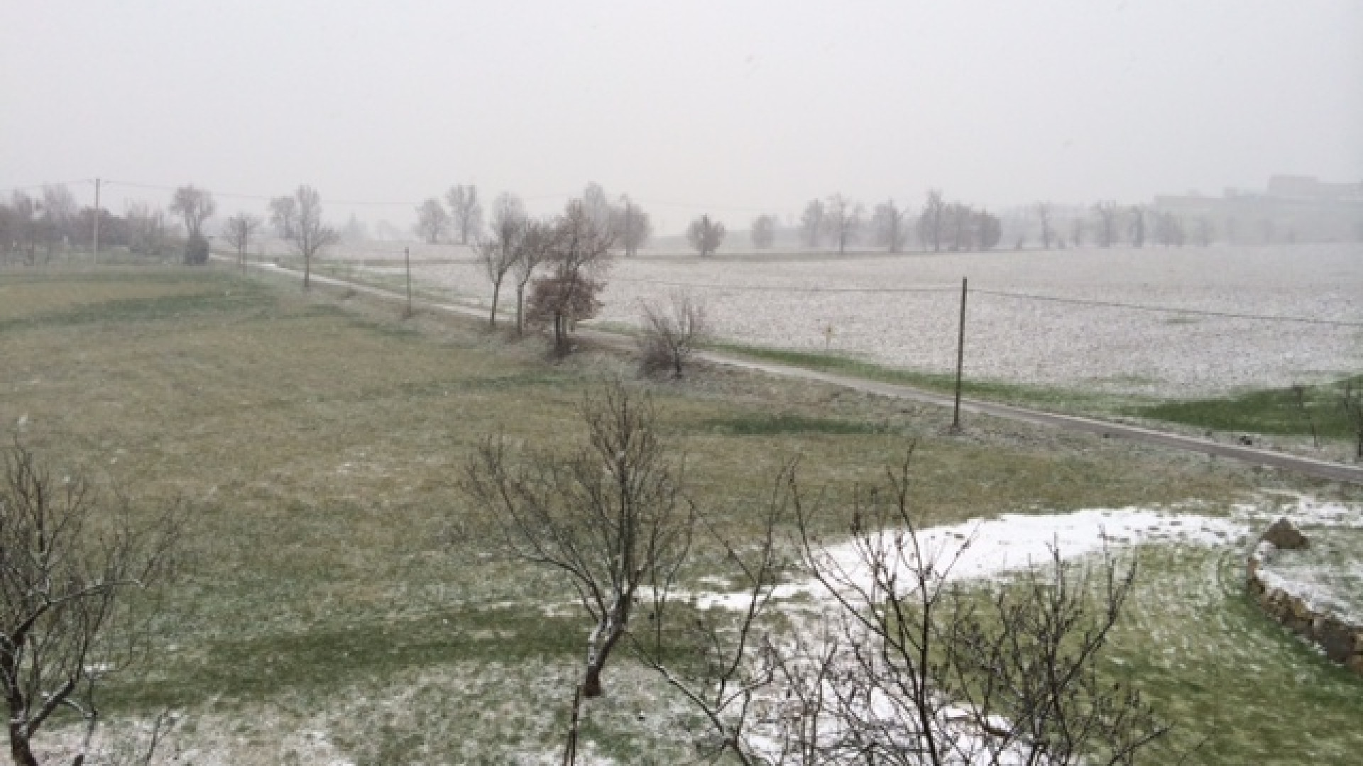 Neve sulle alture, qualche fiocco in città. Da domani sera il gelo