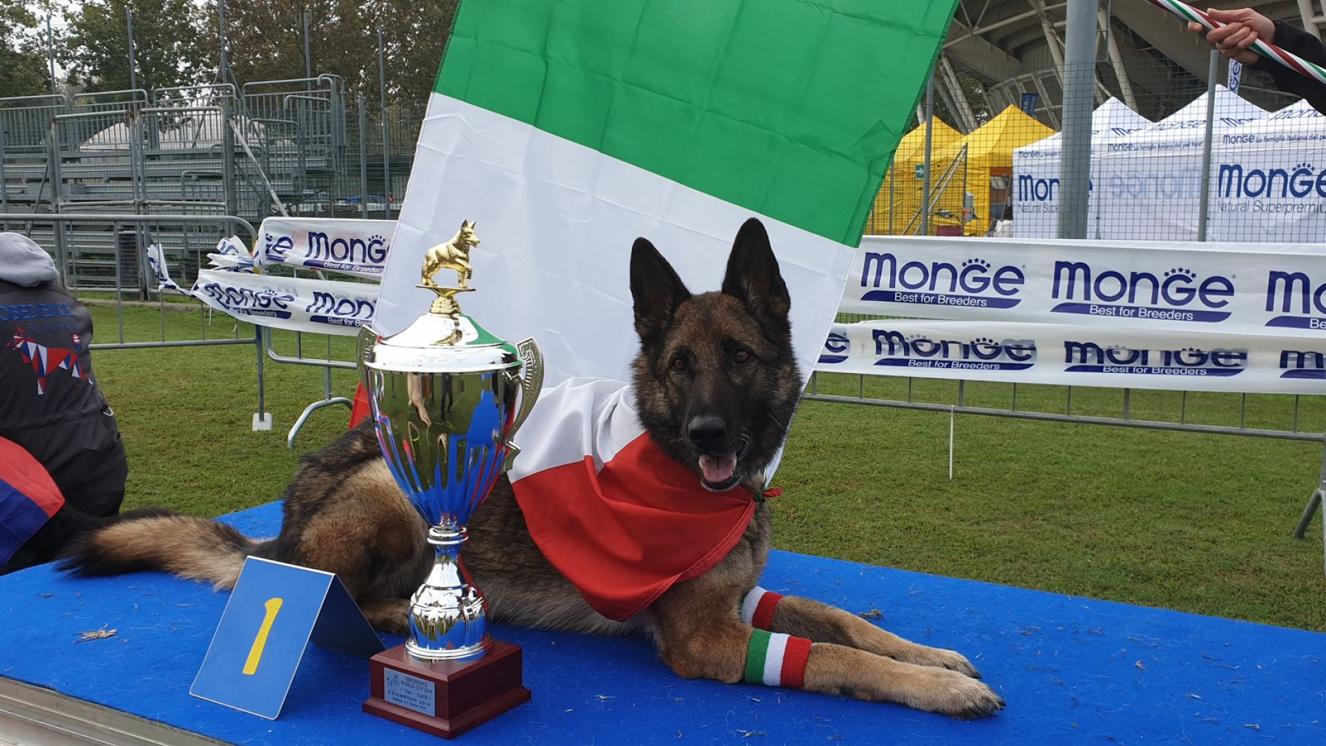 Il cane Tummy del gruppo La Lupa campione del mondo Obedience