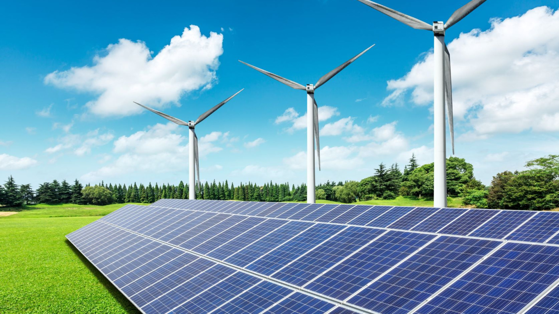 Nel 2025 le rinnovabili supereranno il carbone come prima fonte di energia